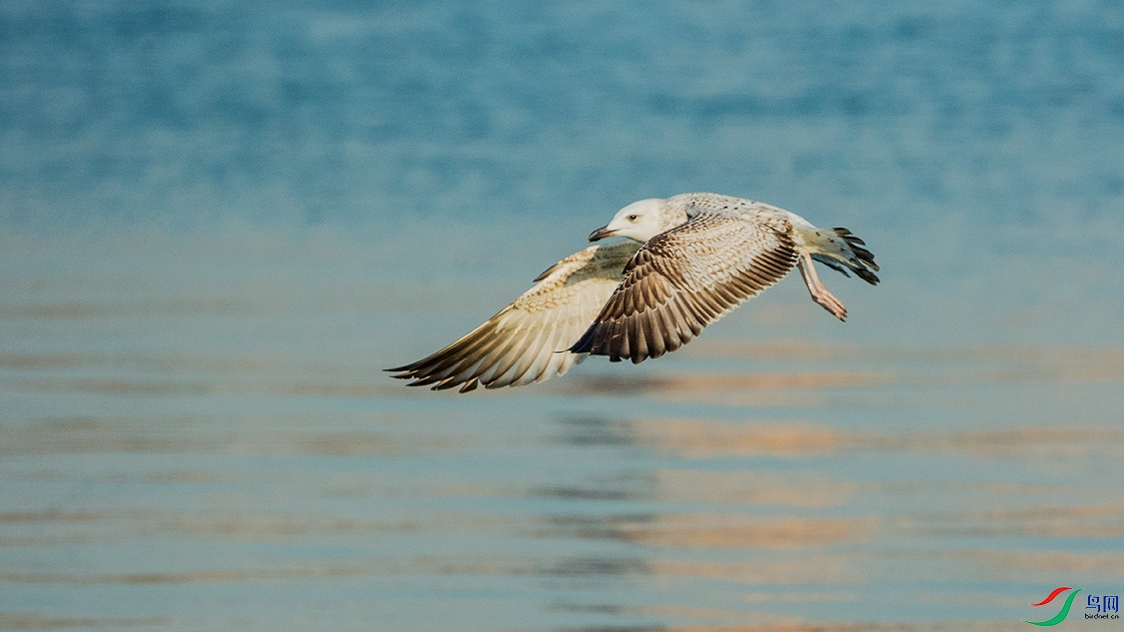 0409���� �� ��Ÿ.jpg