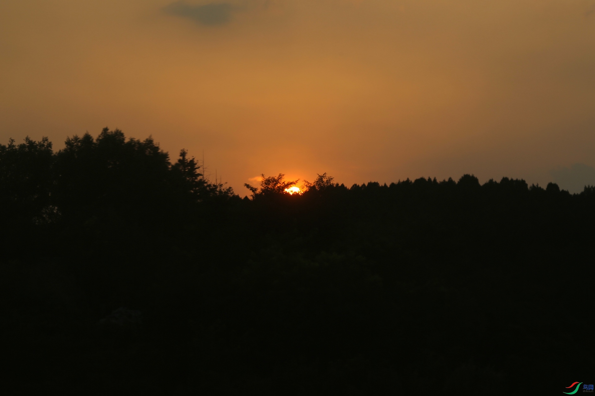 1Y0A5380_����.jpg