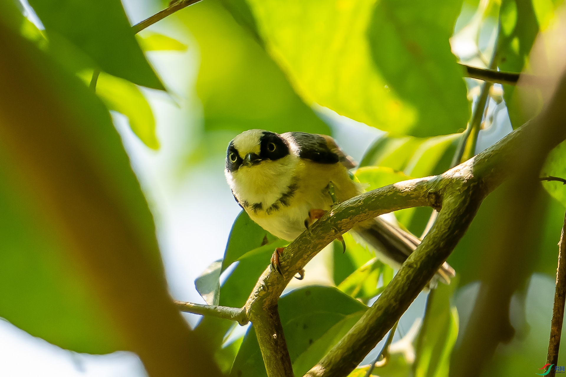 DSC08134-ARW_DxO_DeepPRIME-1.jpg