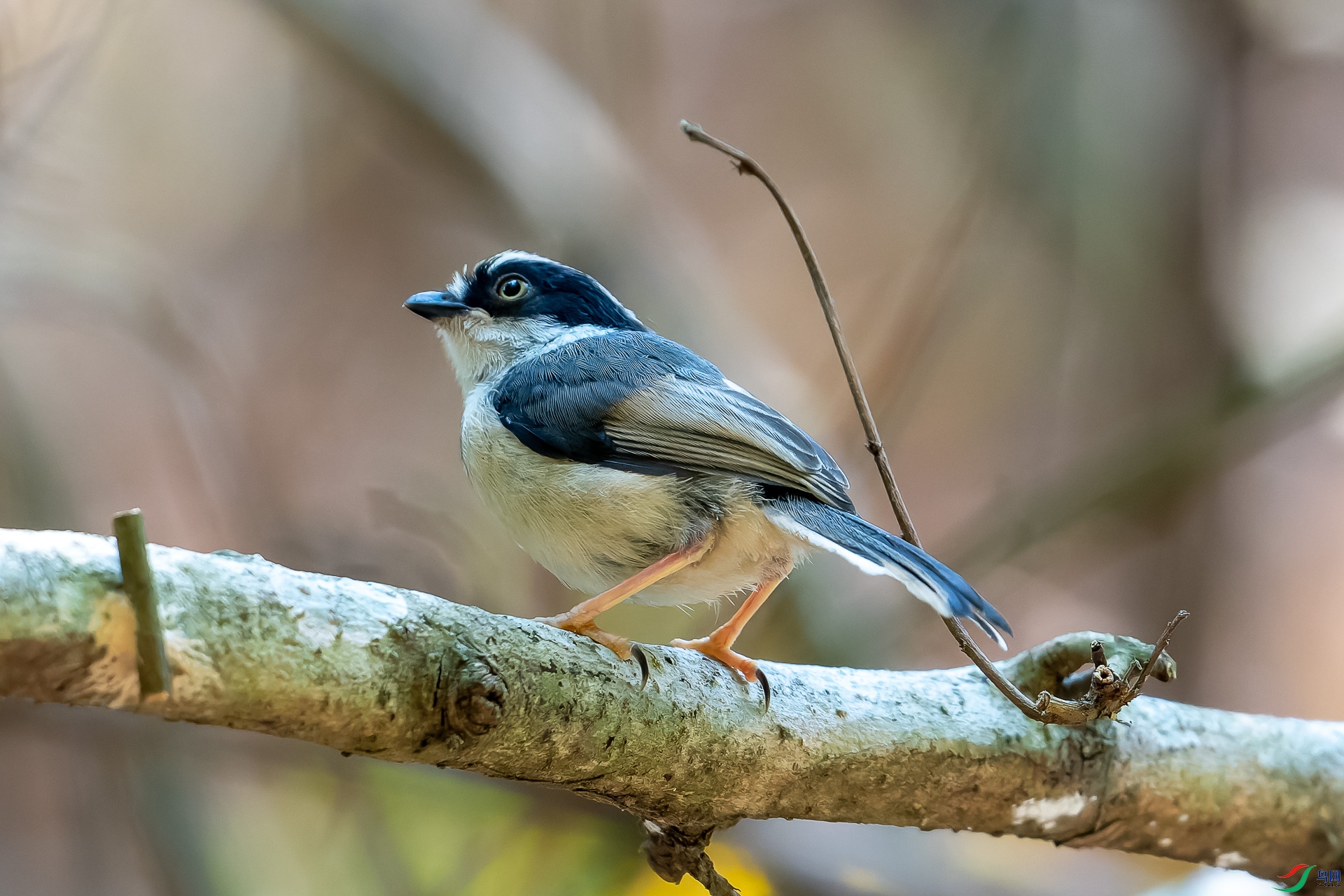 DSC08146-ARW_DxO_DeepPRIME-1.jpg