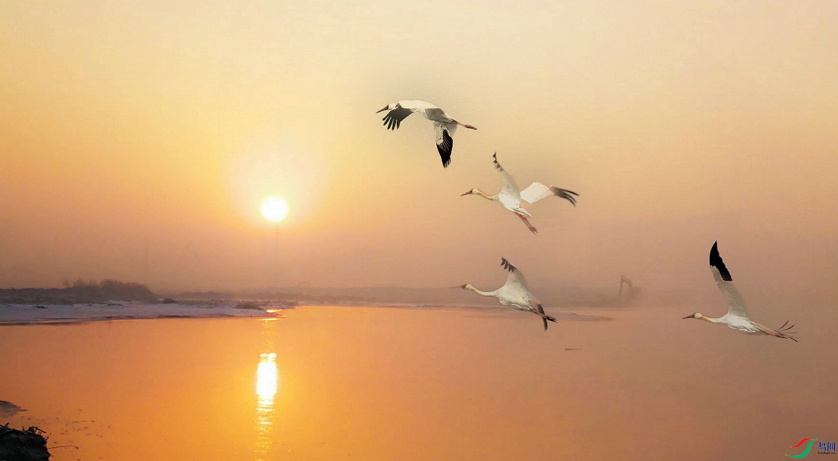 �����Ƽ�