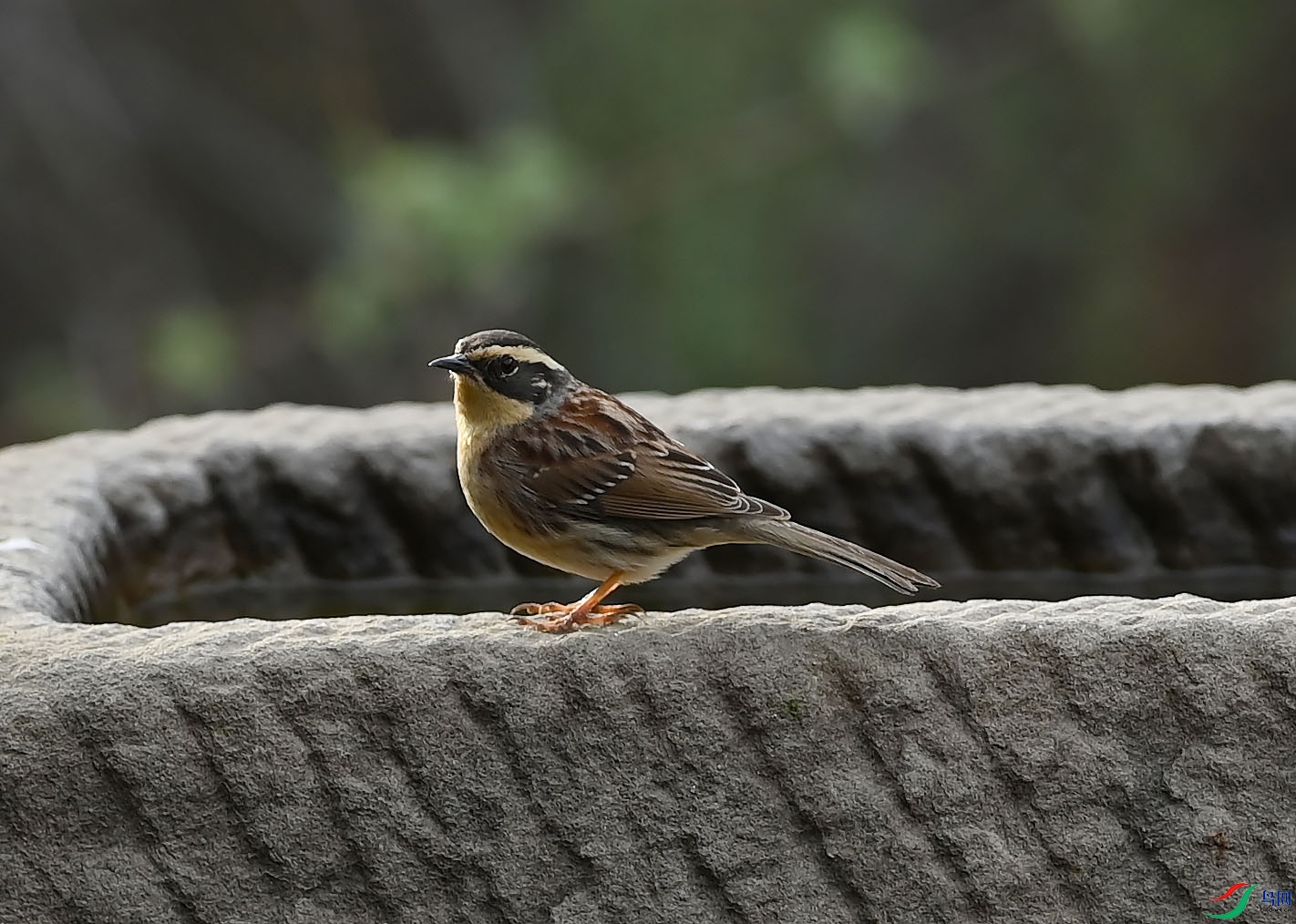 DSC_1677.jpg
