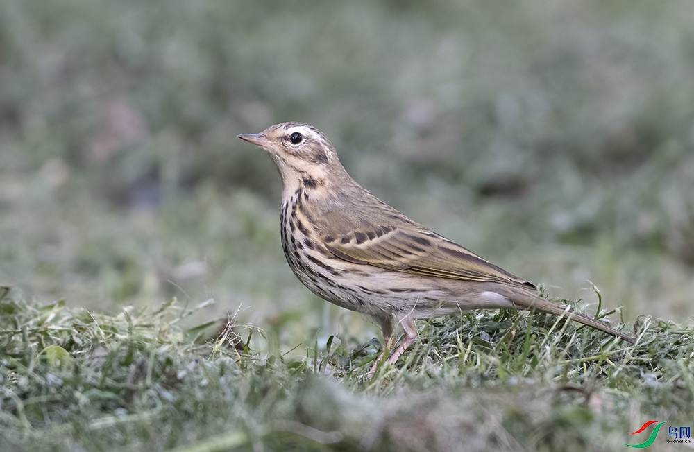 _ADS7947-1 ����.jpg