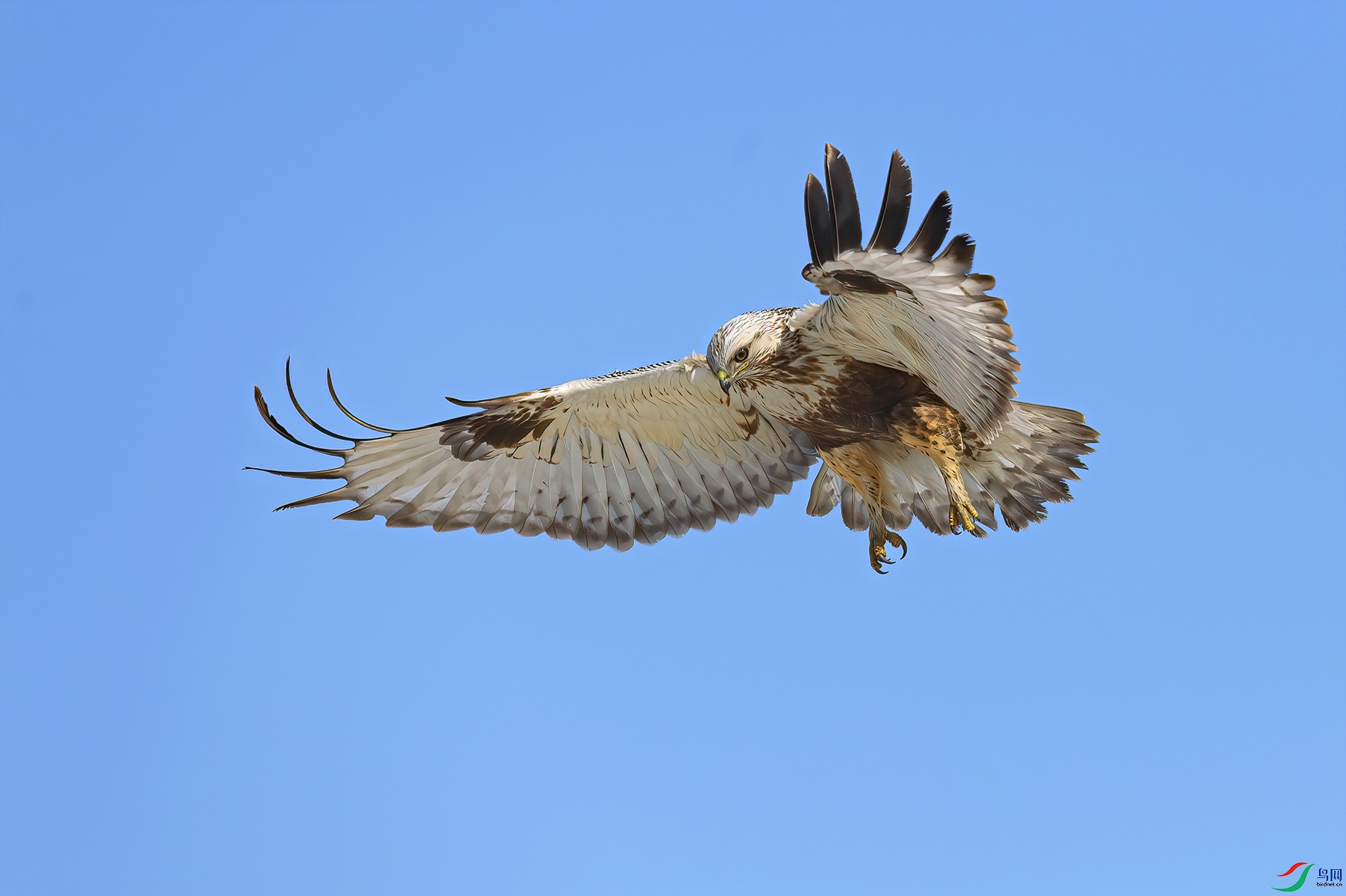 L04_2953-1.jpg