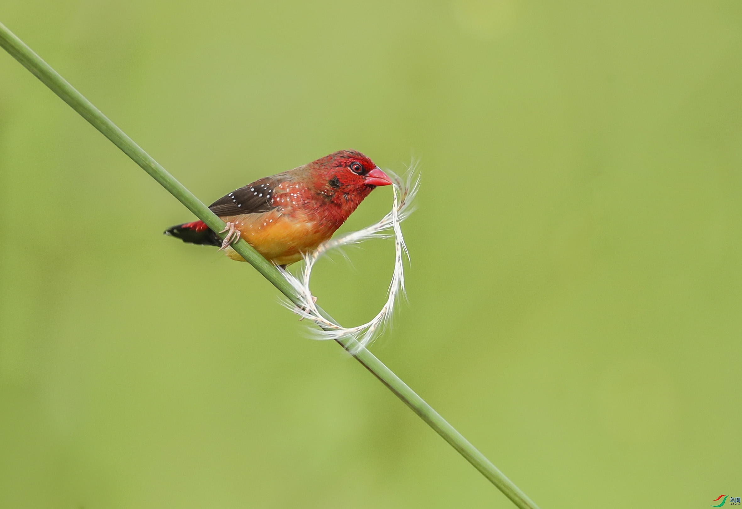 1a0d93c9e6f89196c63fb3f36fb1002- (5).jpg