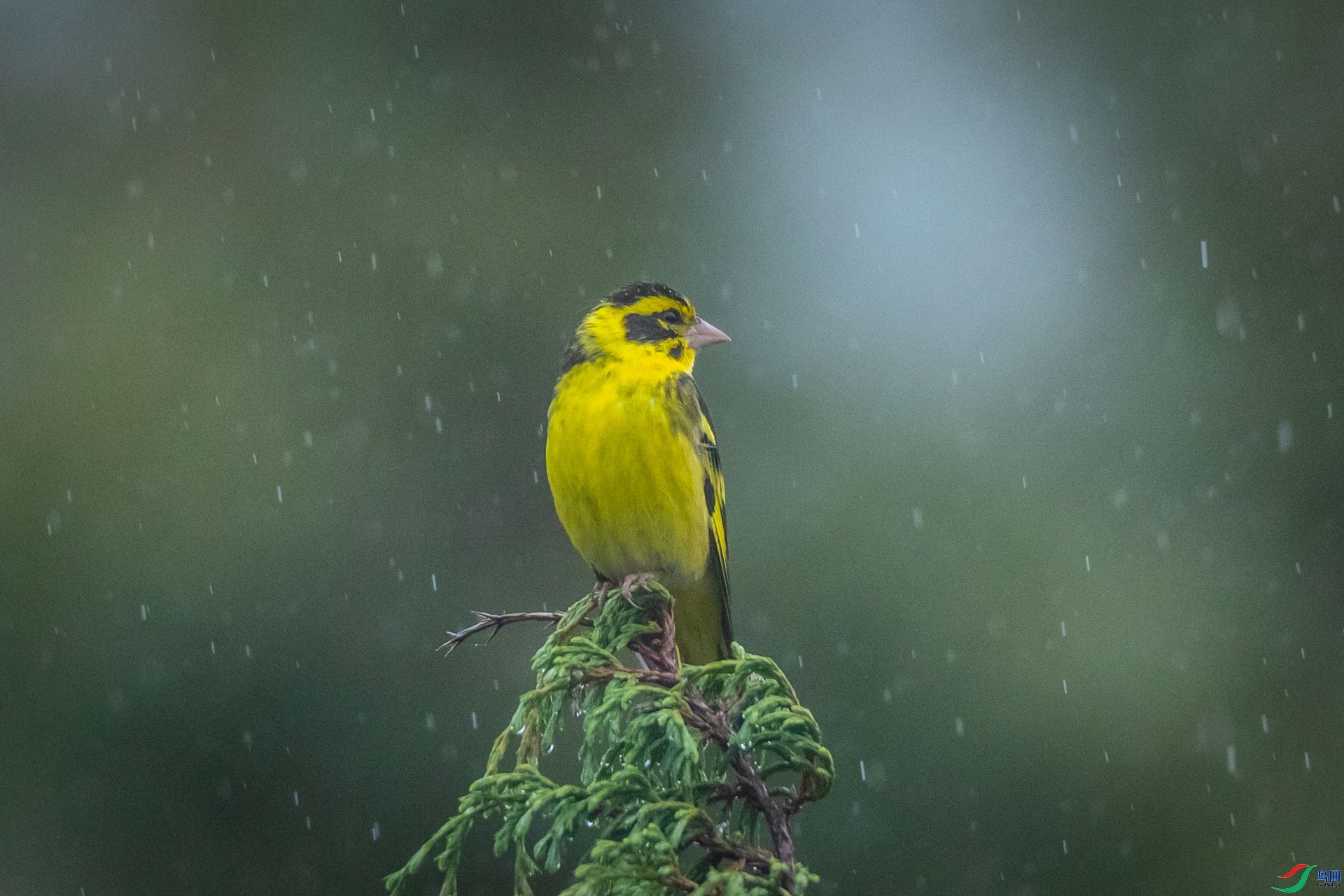 ϲ��  ��ʦ�����������������տ��������¡��.jpg