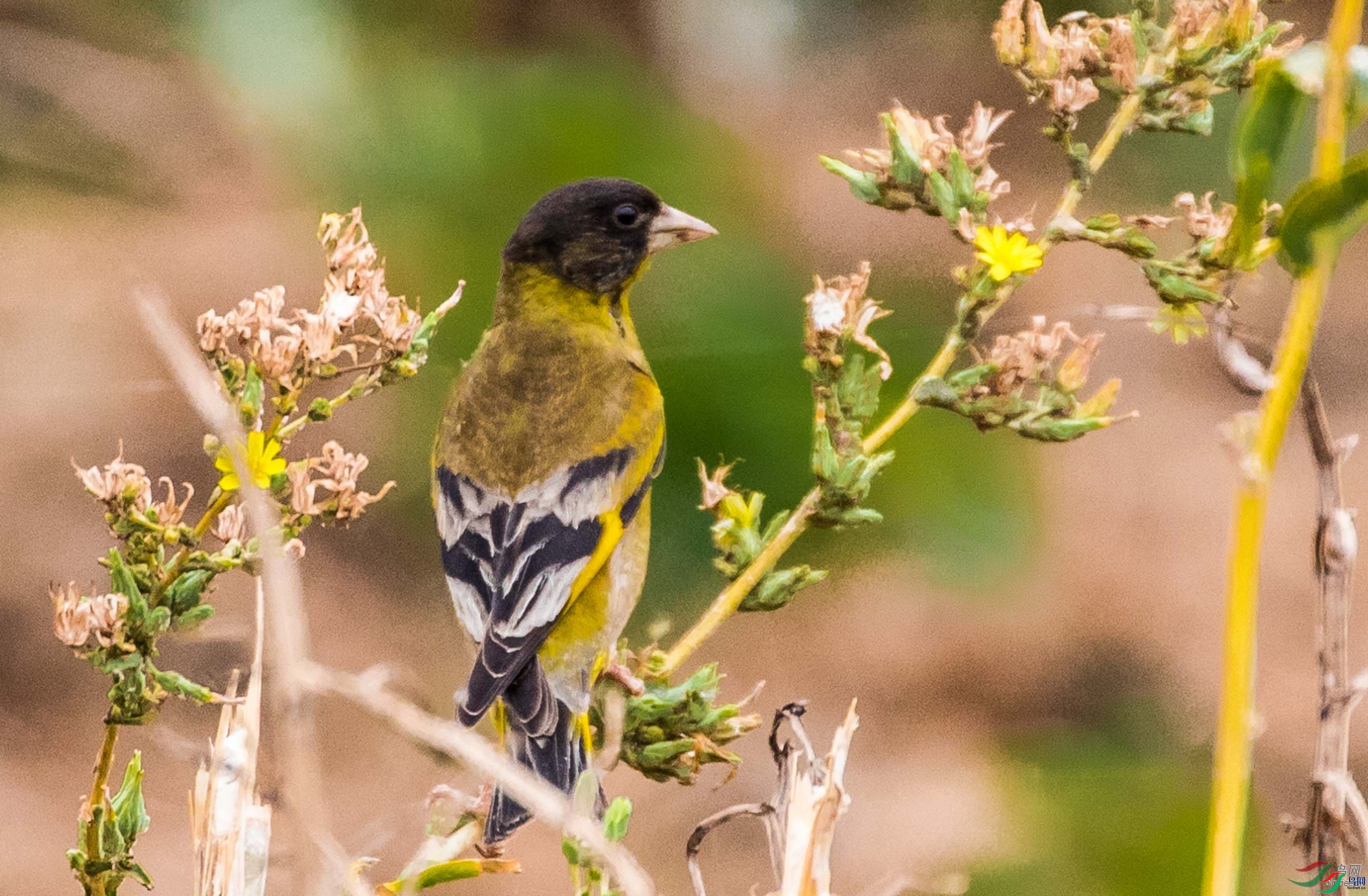 һ�������  ��ʦ����������ʡ�������������ݴ�����.jpg