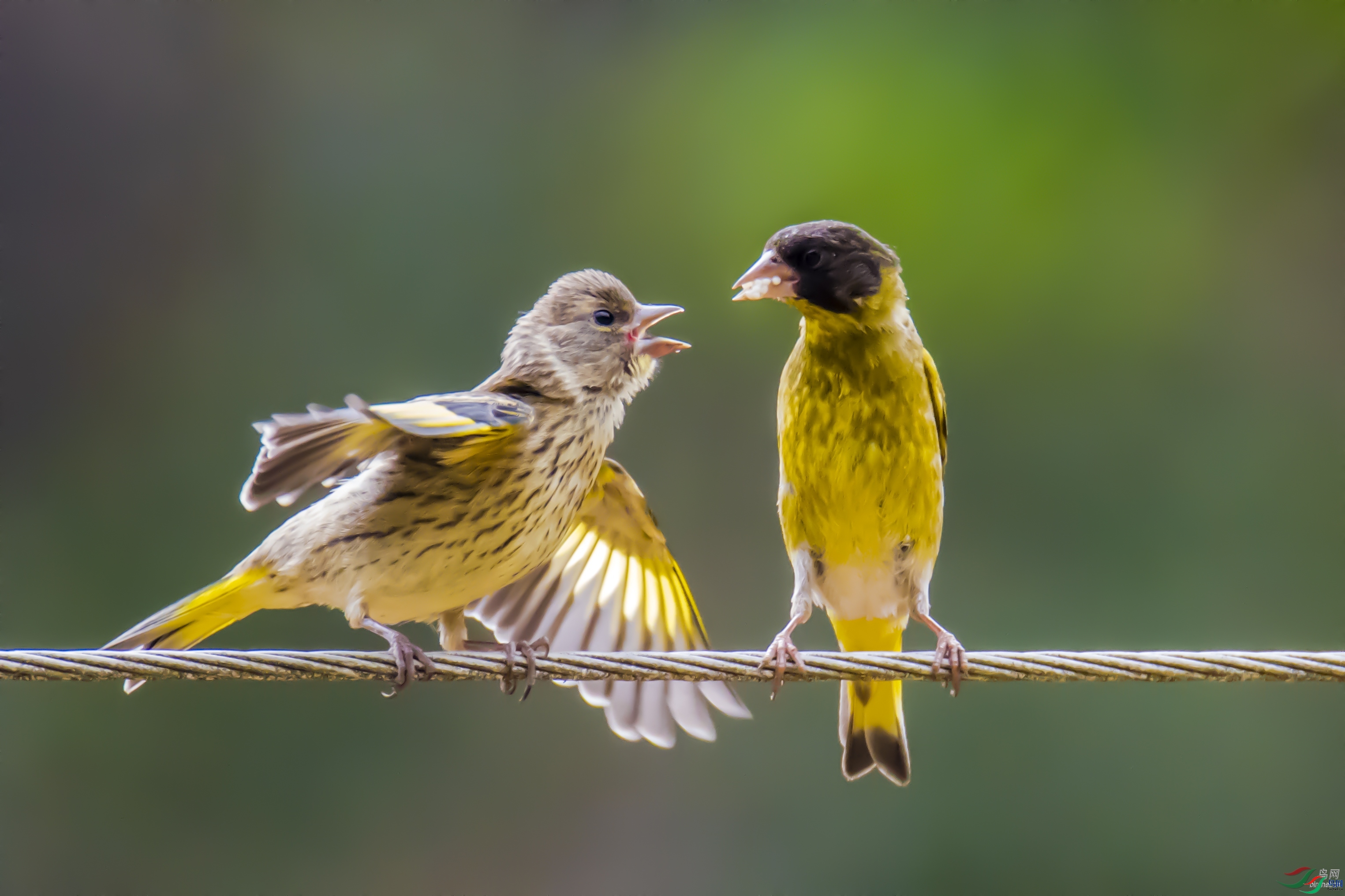 xdyh9988  ��ʦ����������ʡ��ɽ��¡����.jpg