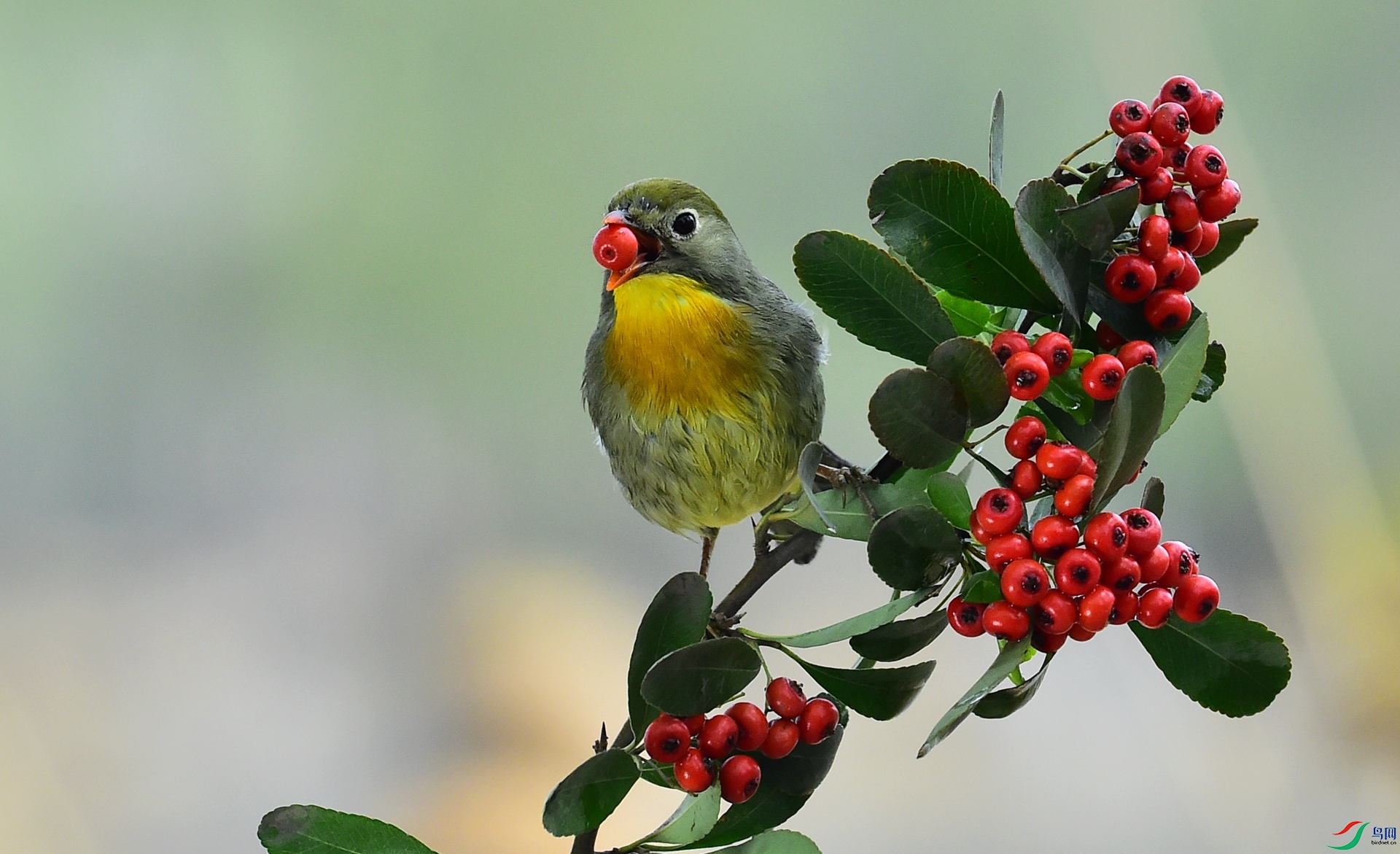 DSC_9645.JPG