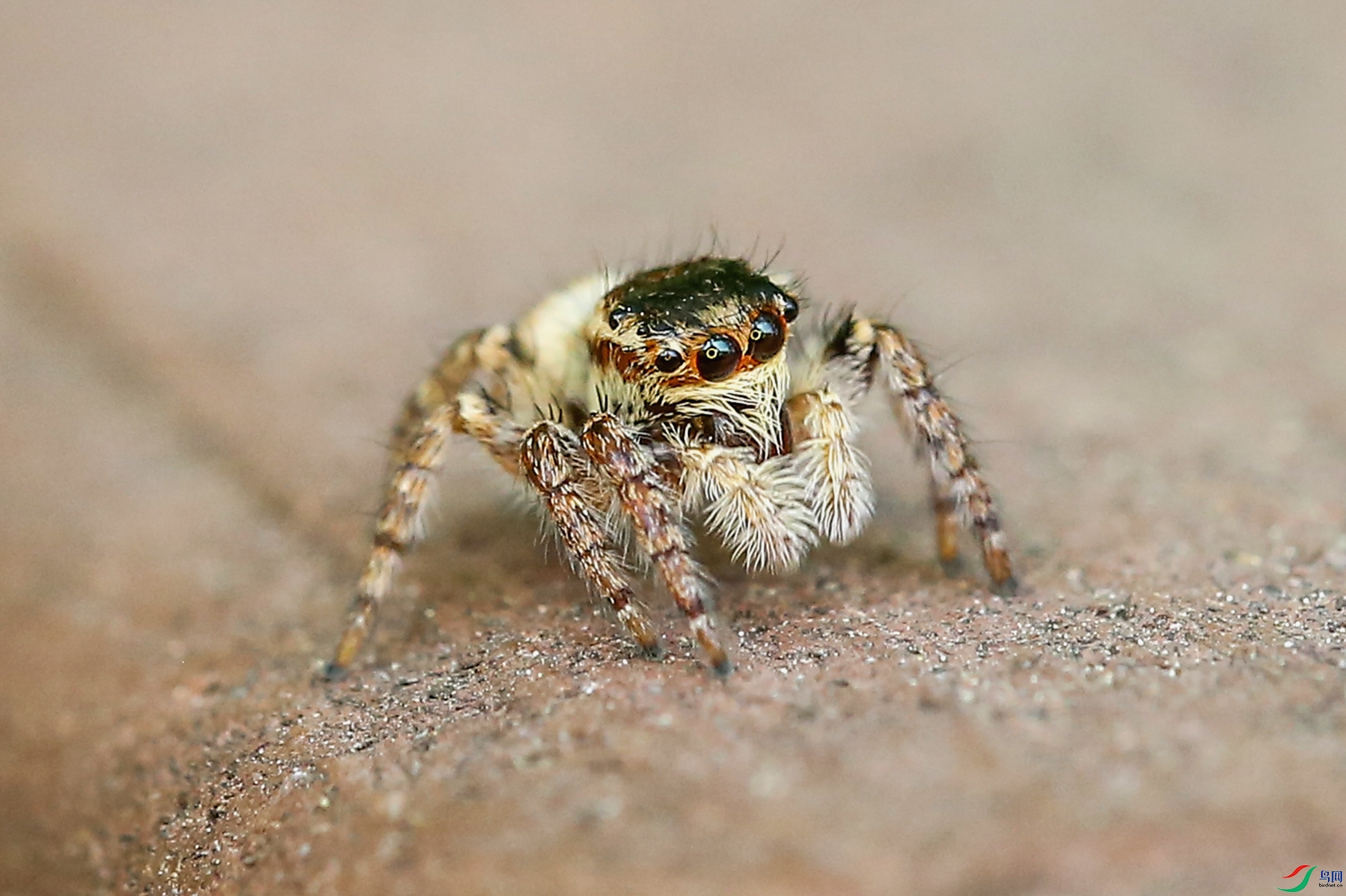 1C6A8969.jpg
