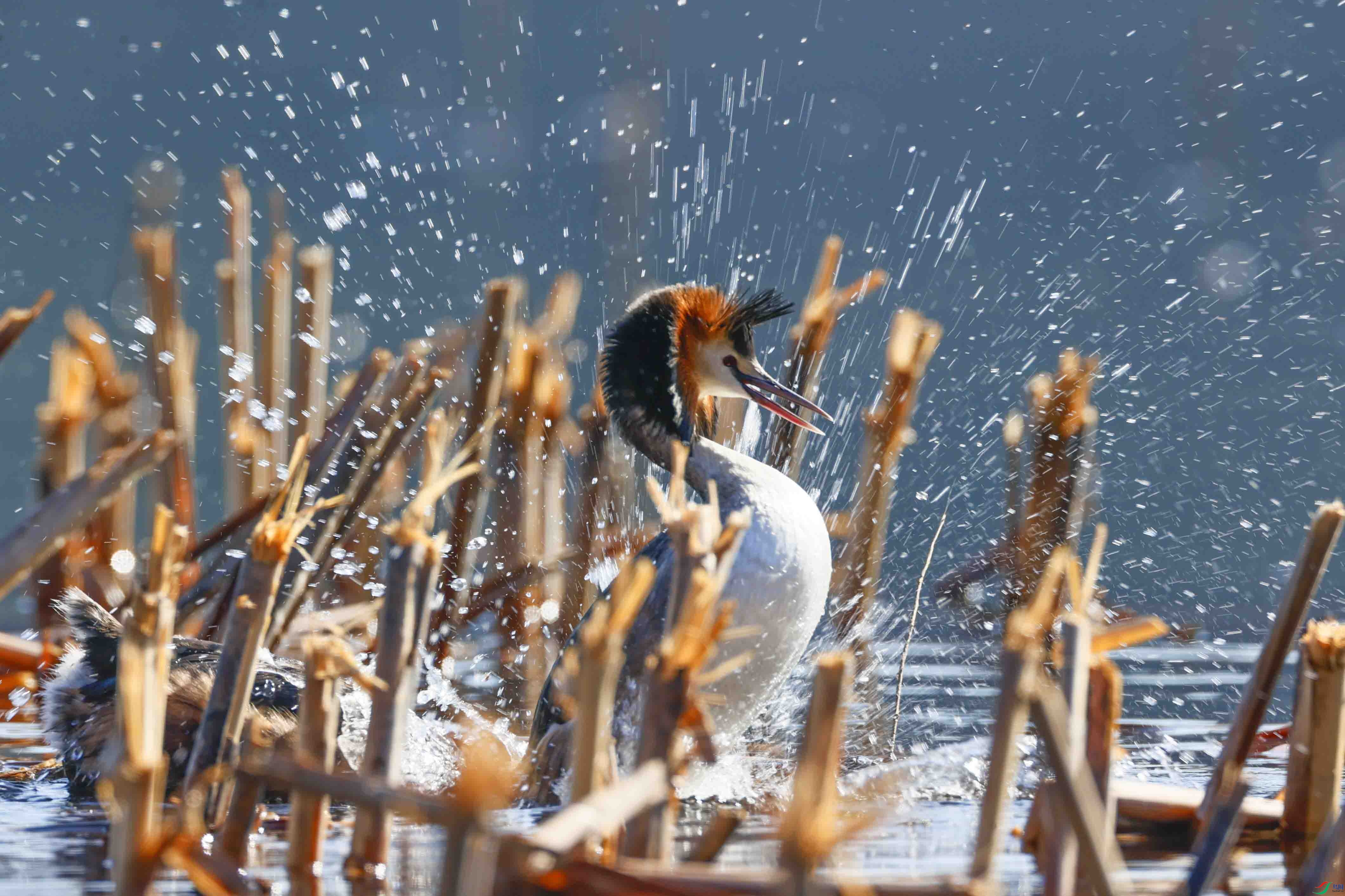 �������.jpg