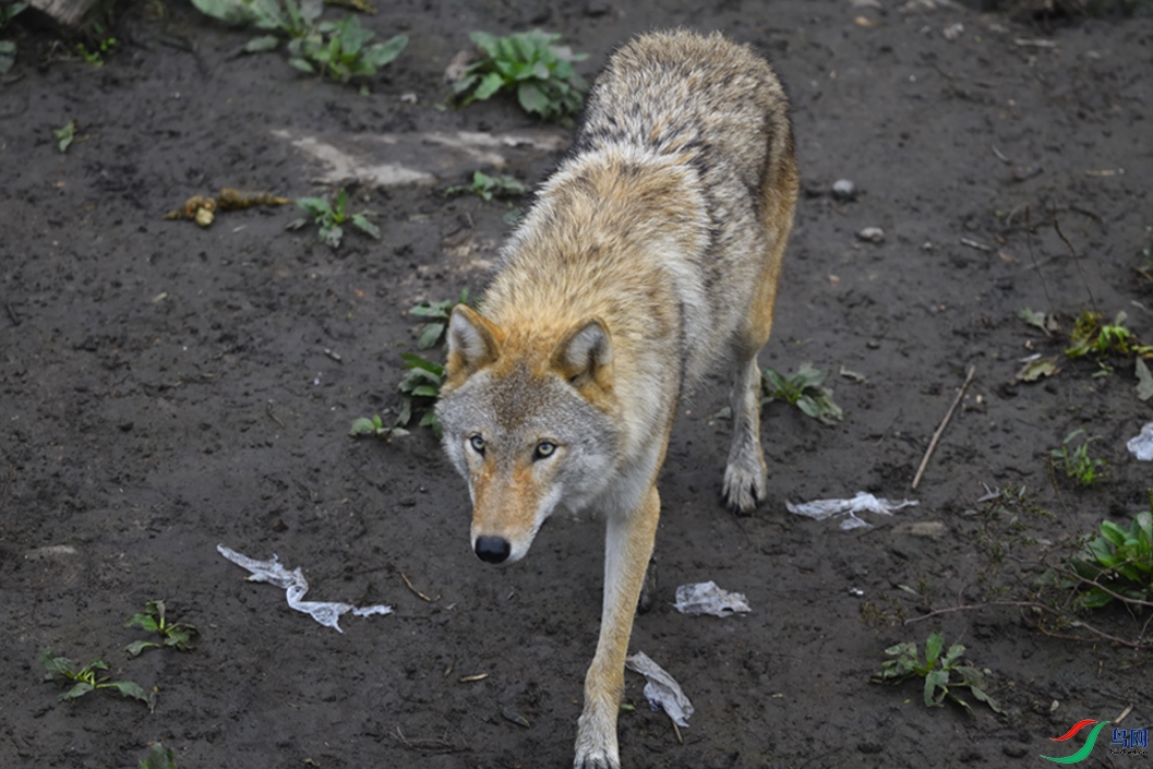 _DSC1199_00001-01-p-2.jpg