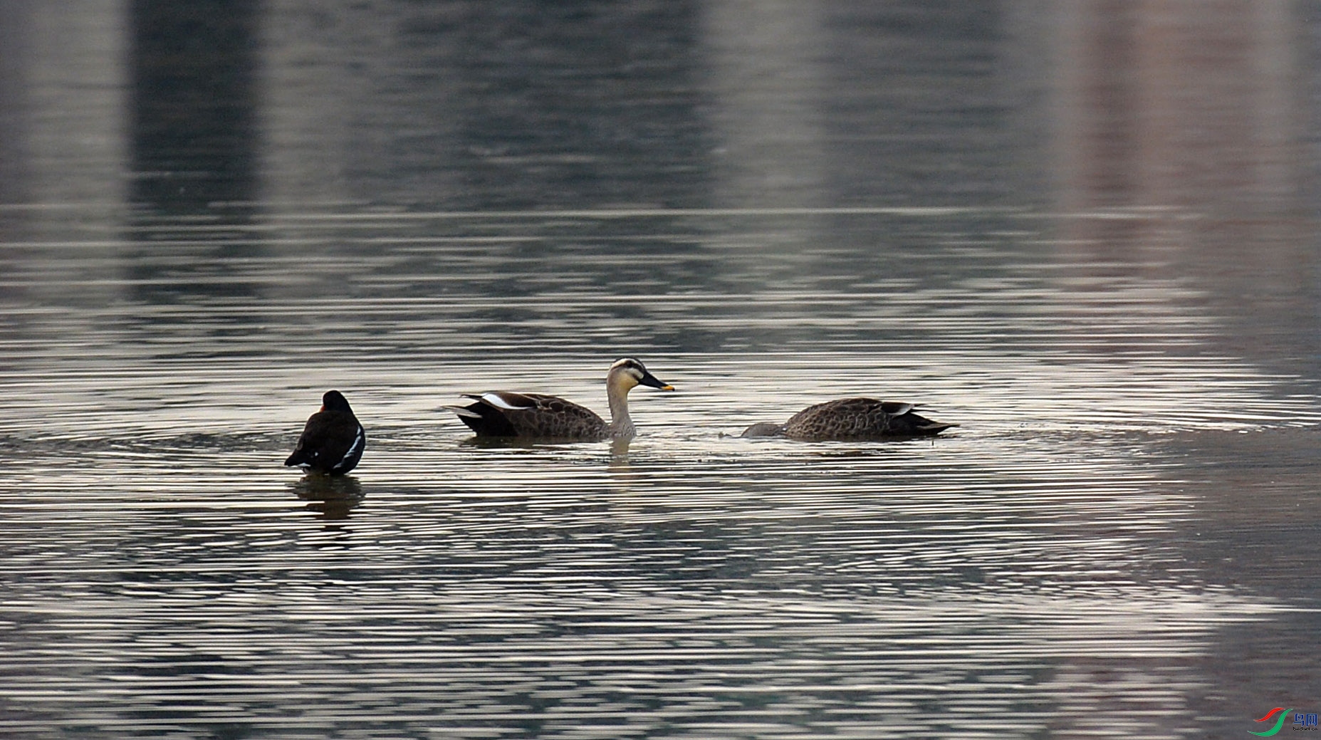 DSC_8609.jpg
