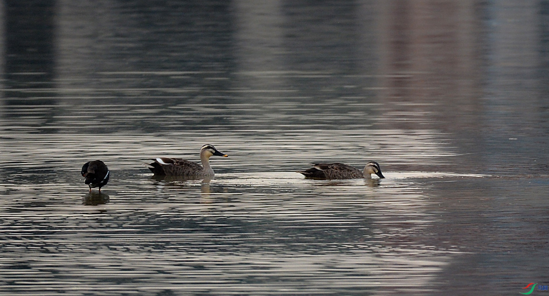 DSC_8611.jpg