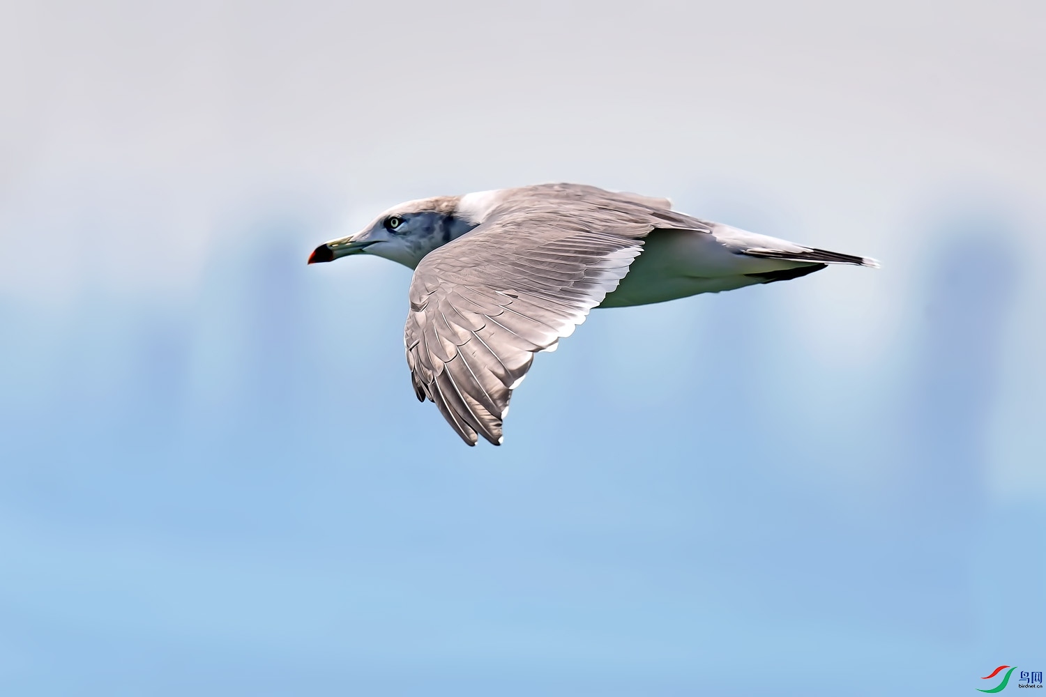 DSC_0015.jpg