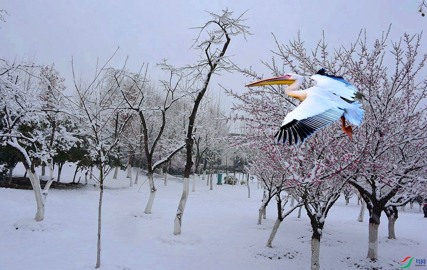 307 (2)_����.jpg