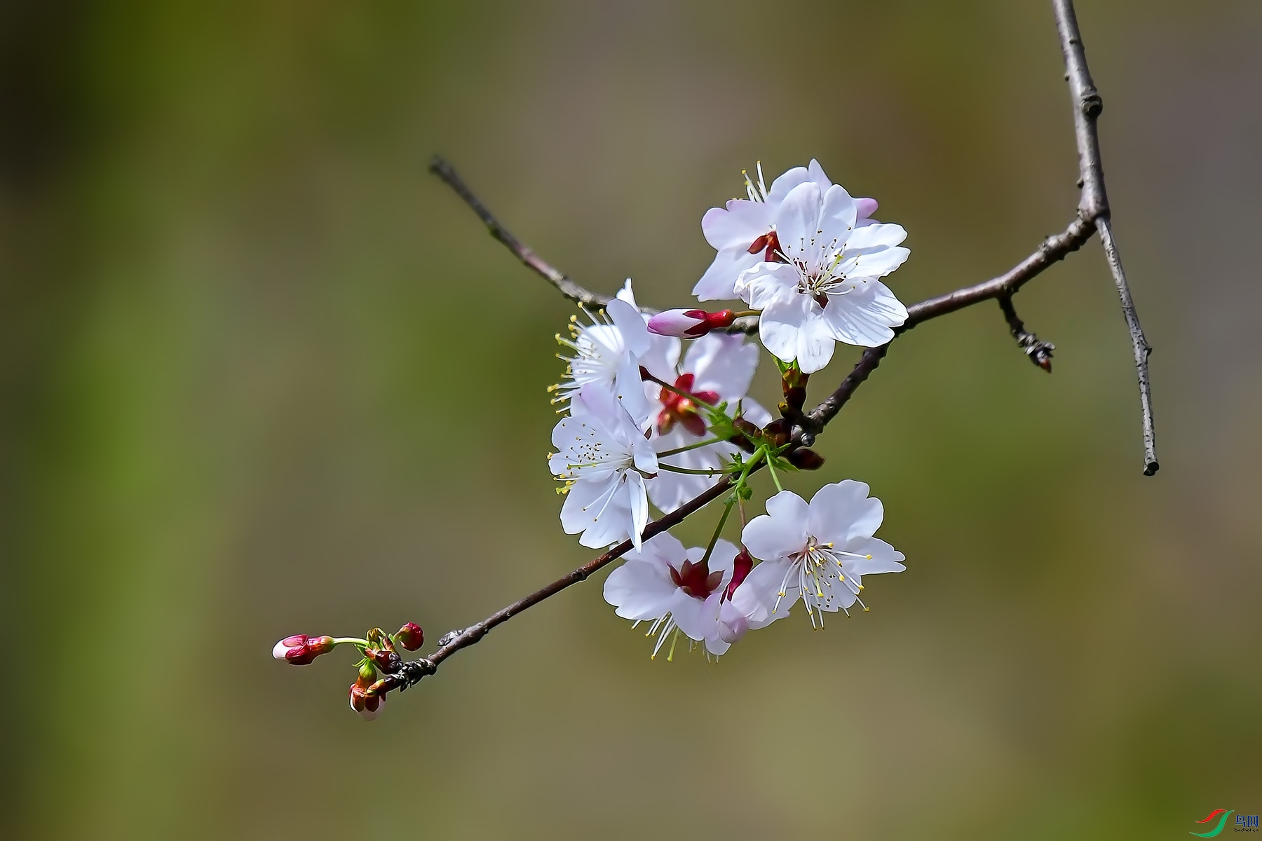 DSC_2960.jpg