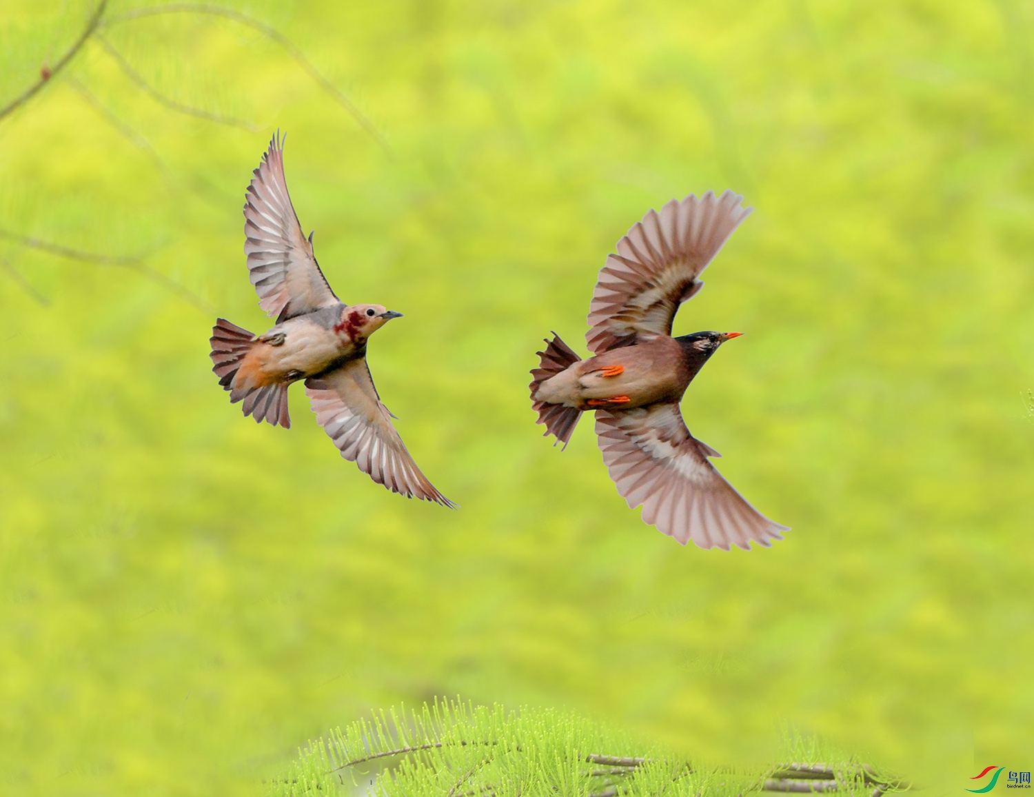 DSC_9776 - ����.JPG