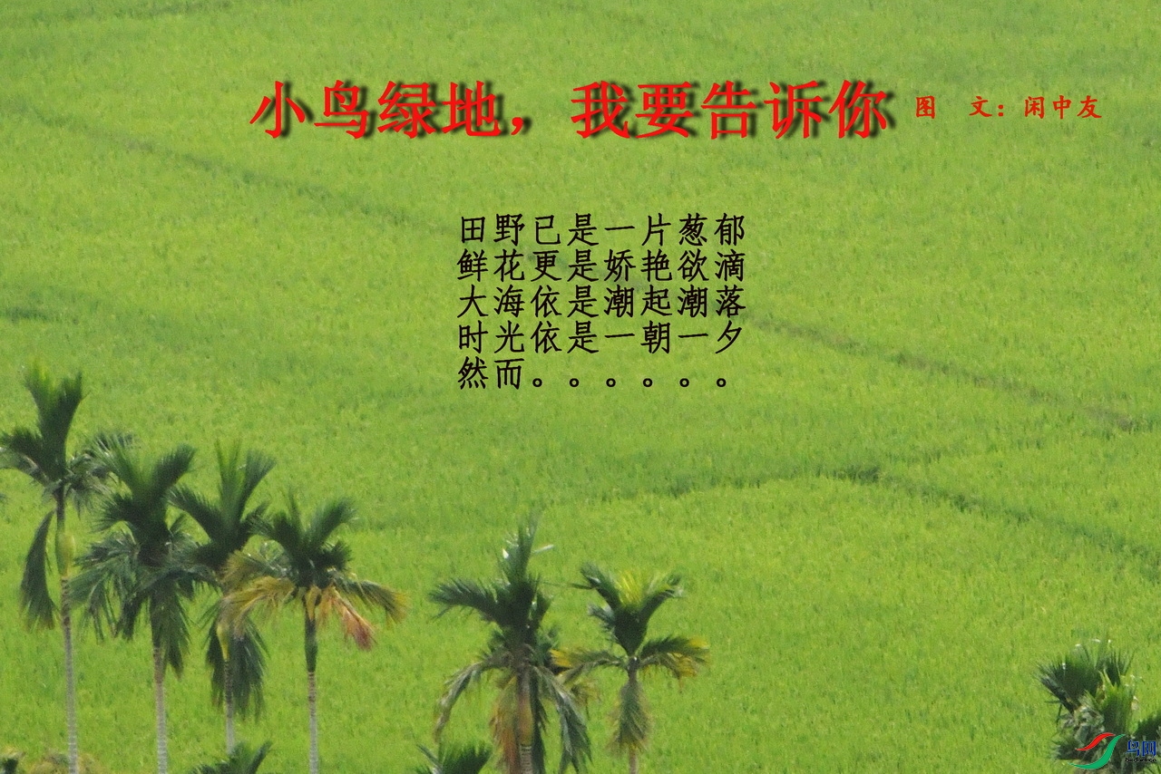 00-0.jpg