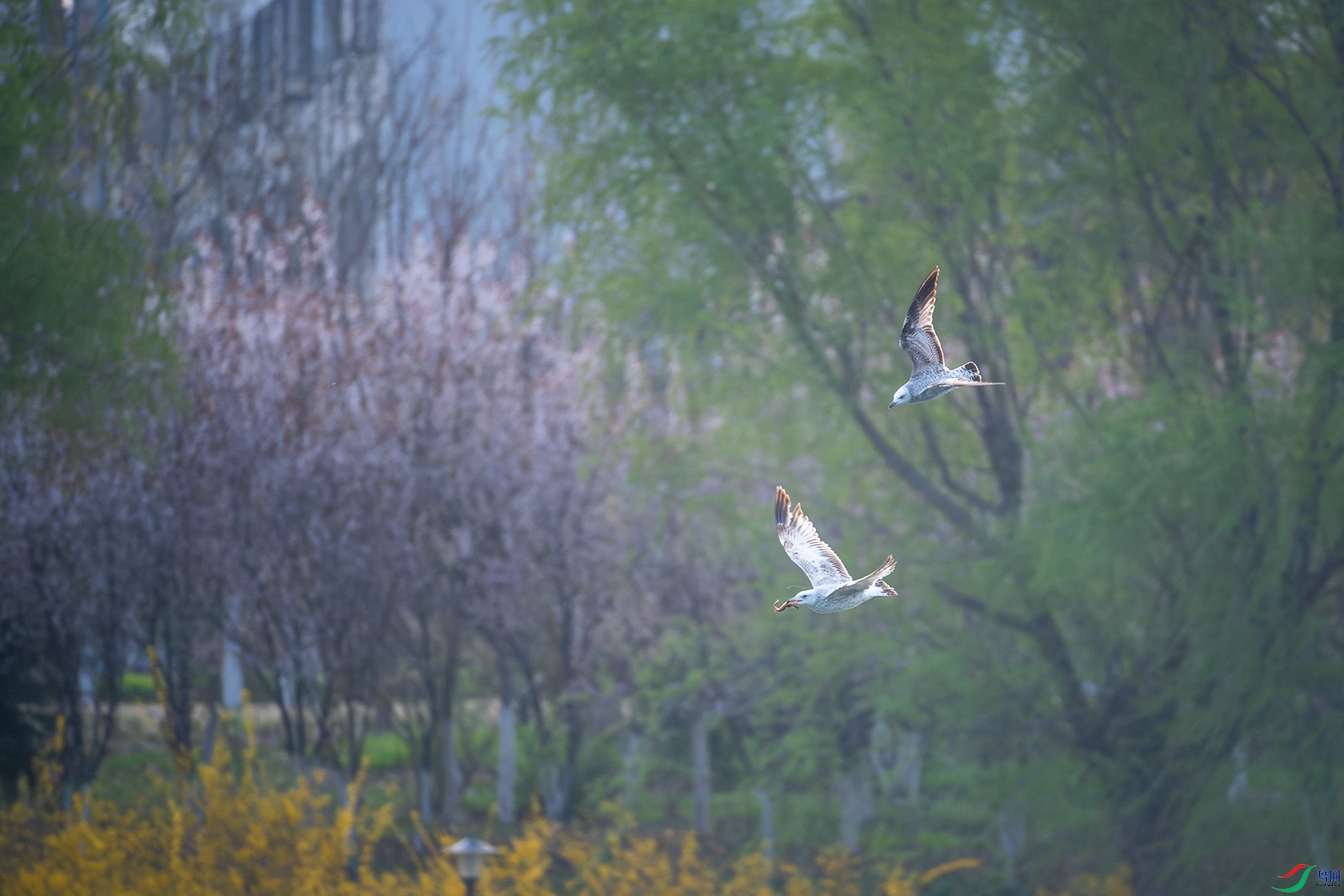 4DSC8463-2С.jpg