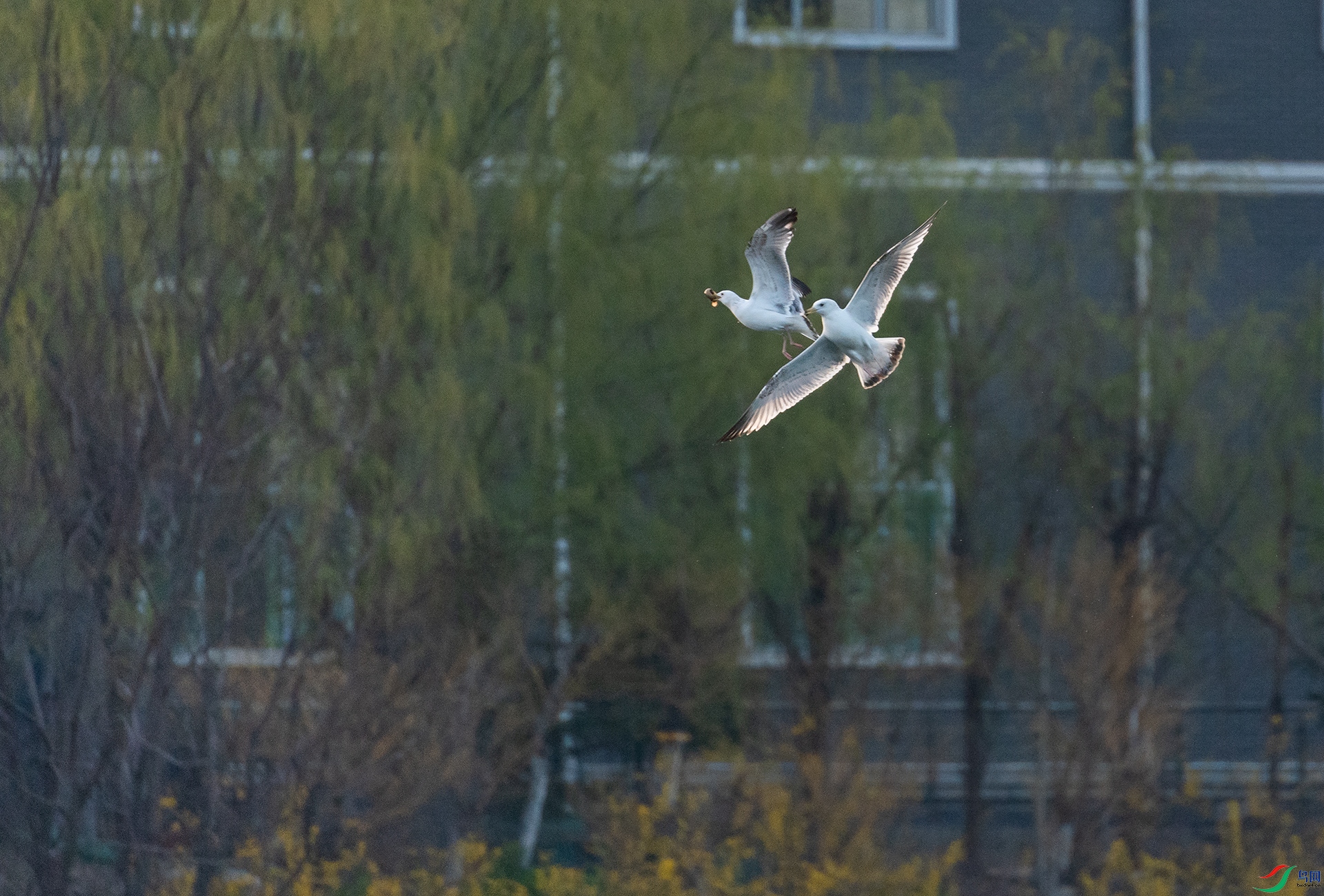 8DSC7896.jpg