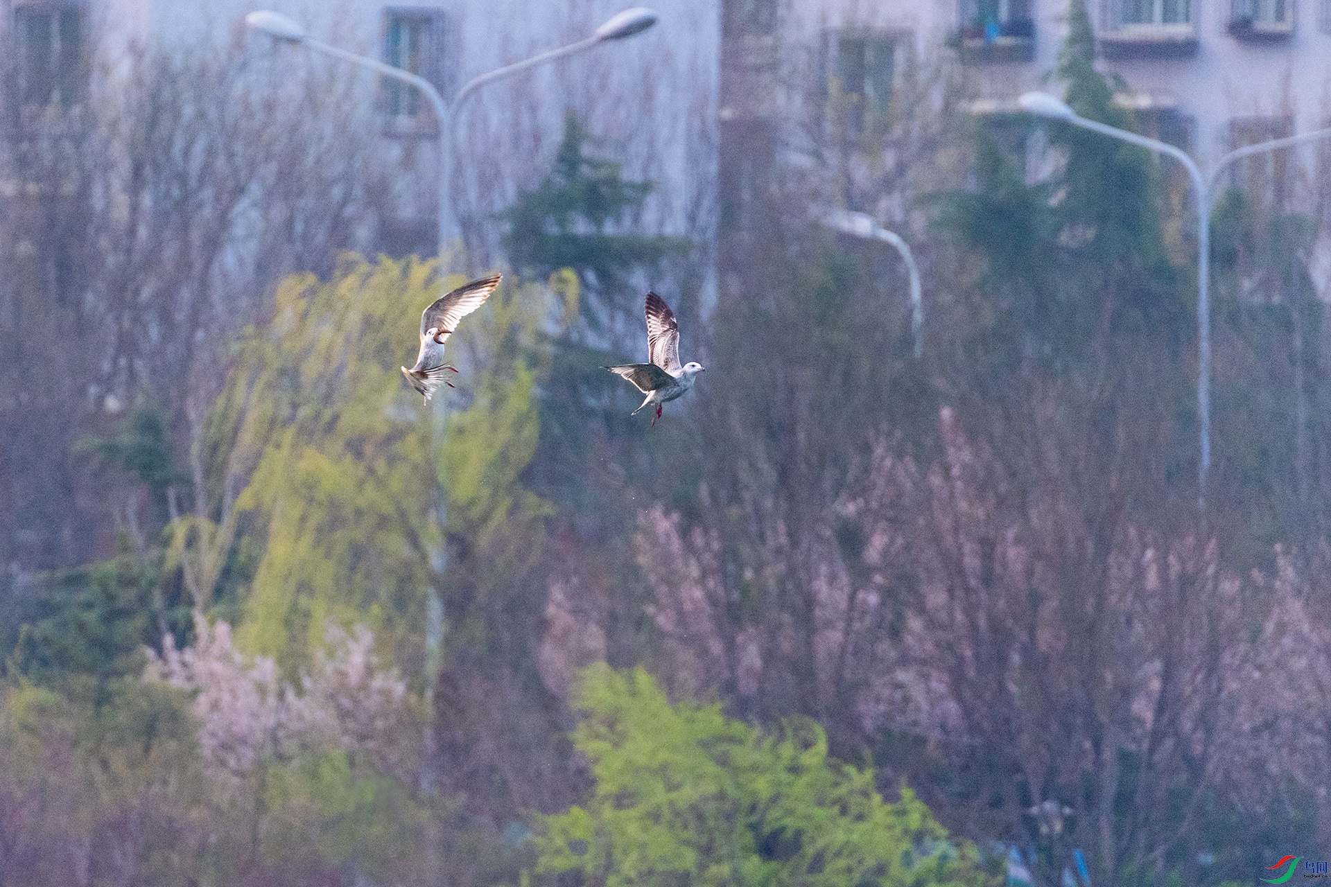 11DSC8364С.jpg