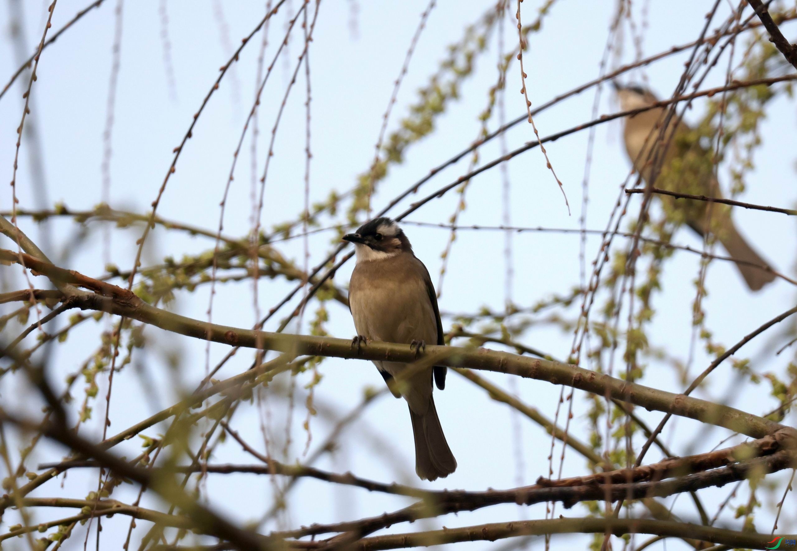 ������С �����ع� 0E5A894111.jpg