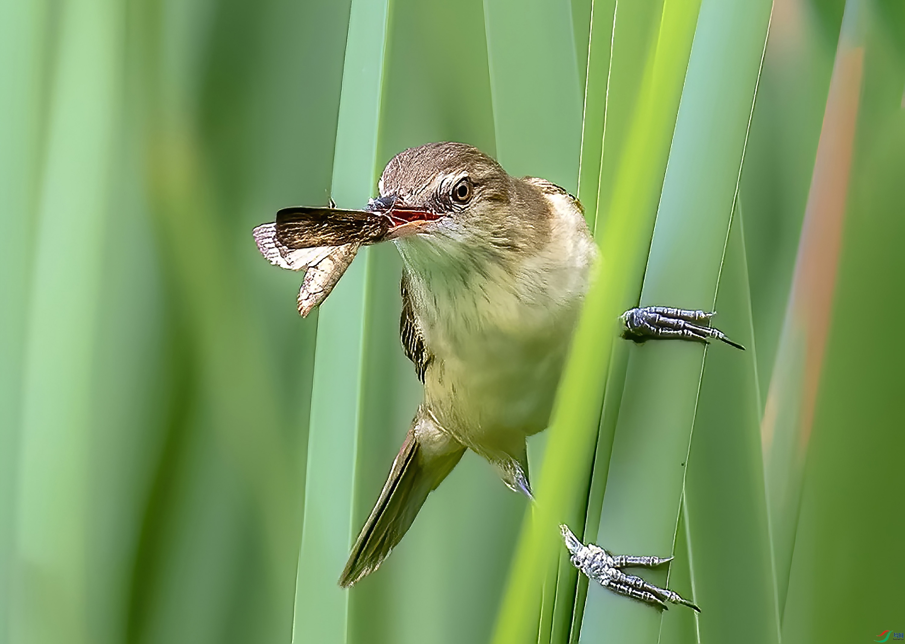 _JLN5050-----ok     ok.jpg