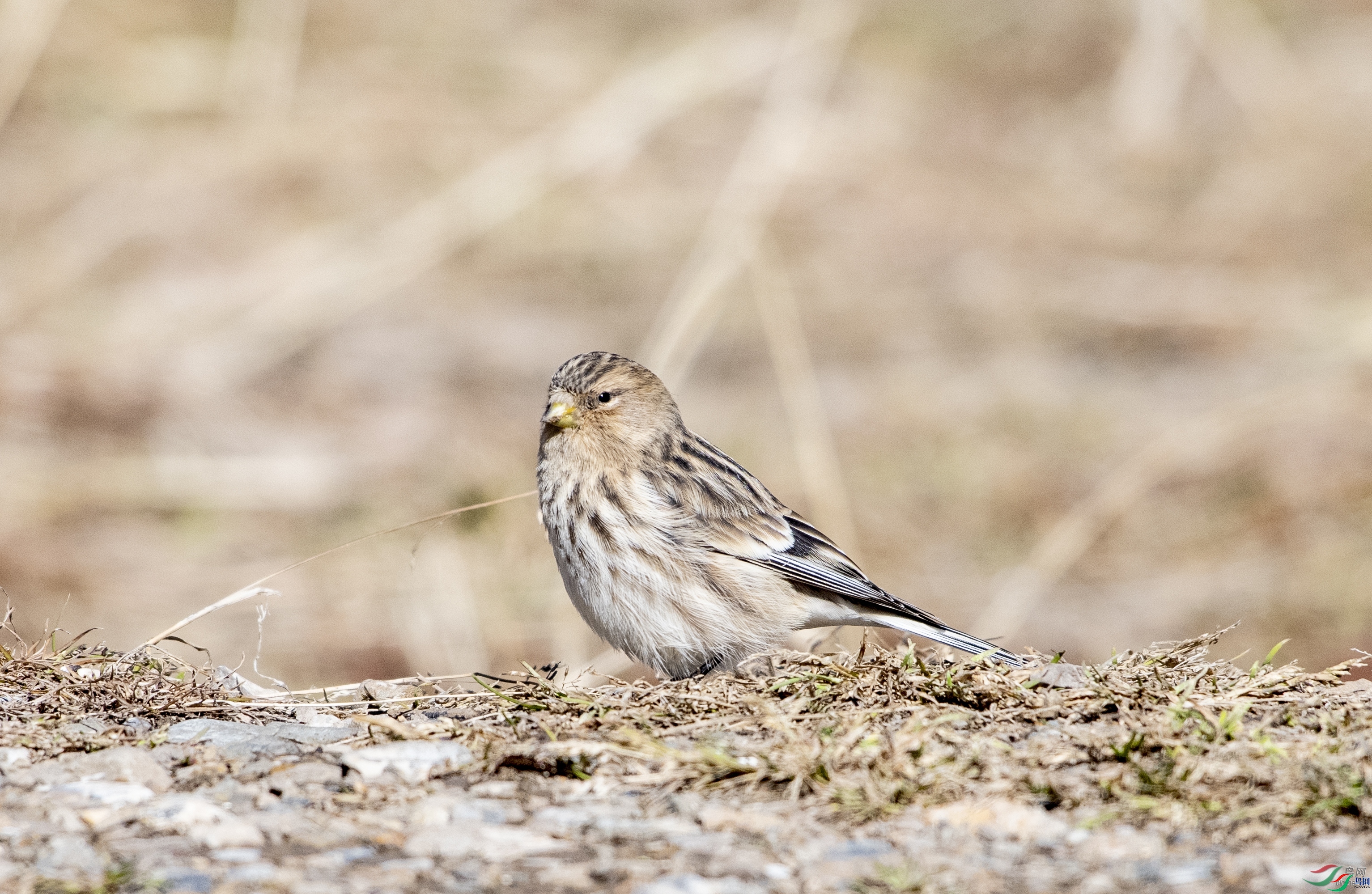 renjs1028 ��ʦ�������ຣʡ���ϲ��������ݺ����ɹ���������.jpg