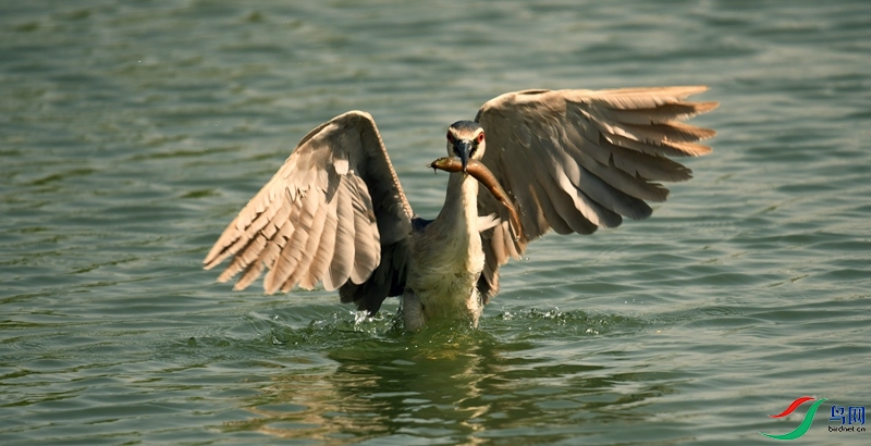 DSC_6961.jpg