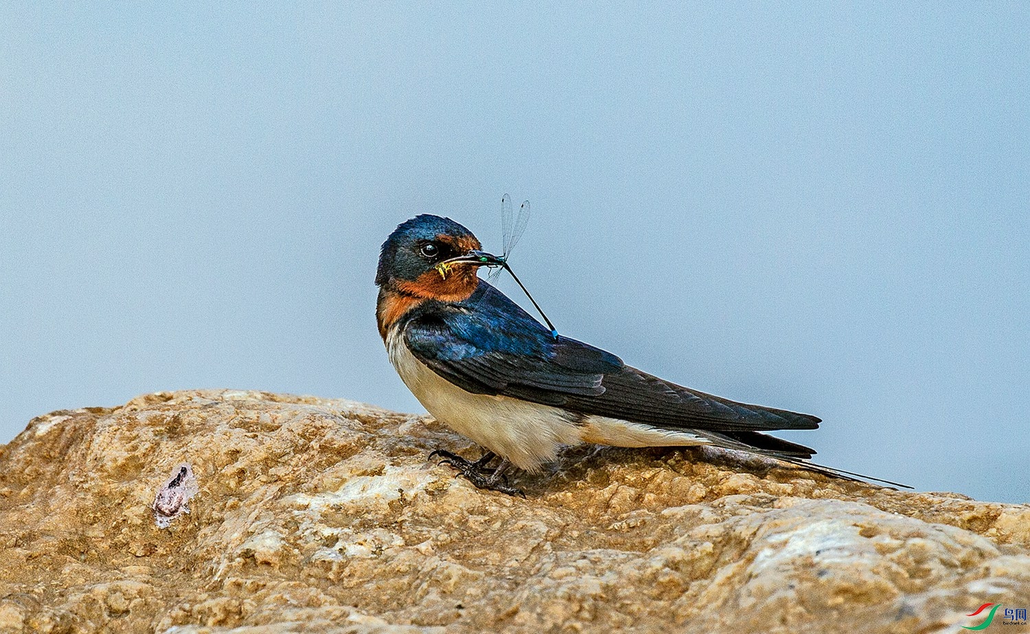 ִ���İ�  (1).jpg