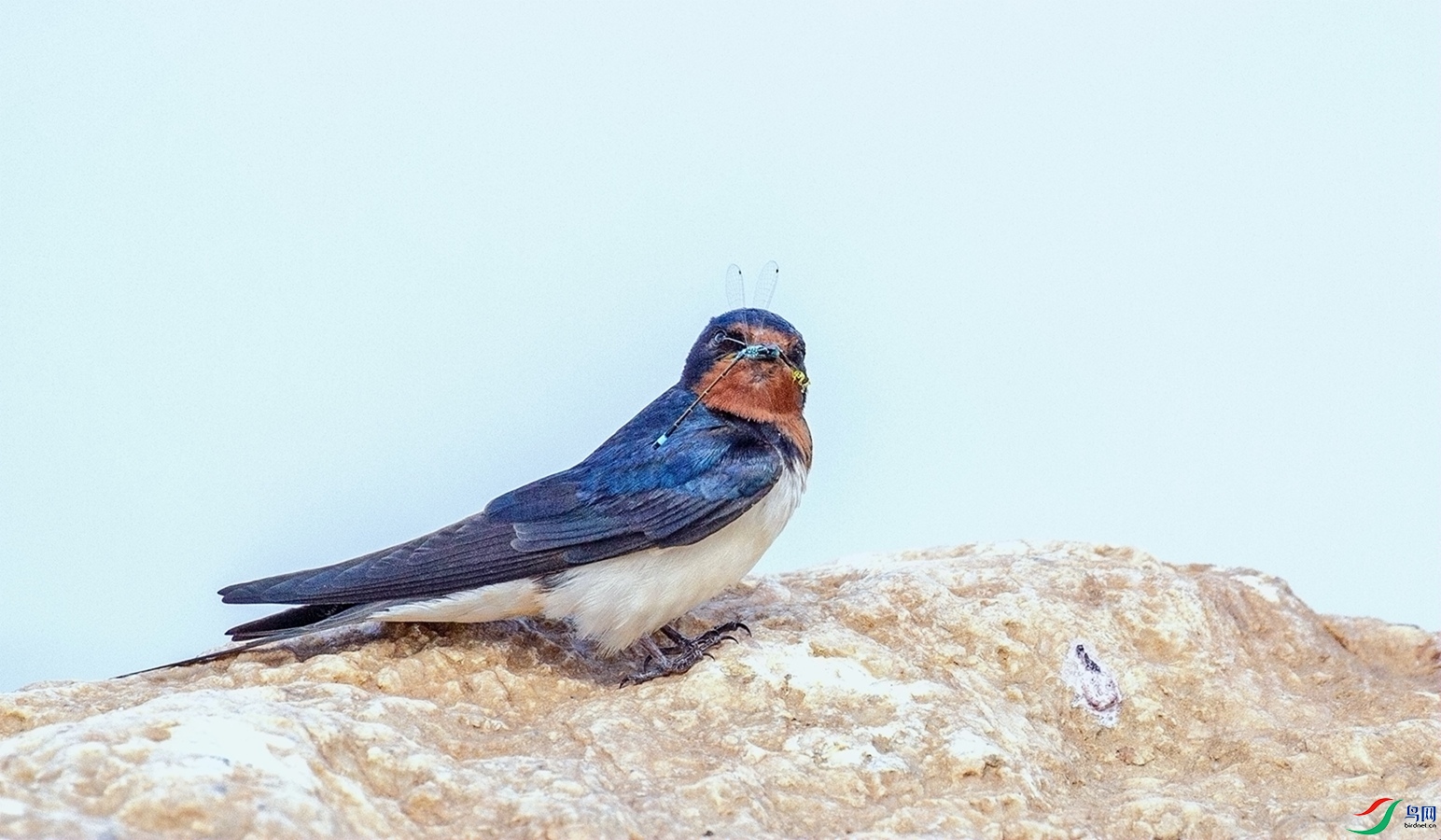 ִ���İ�  (2).jpg