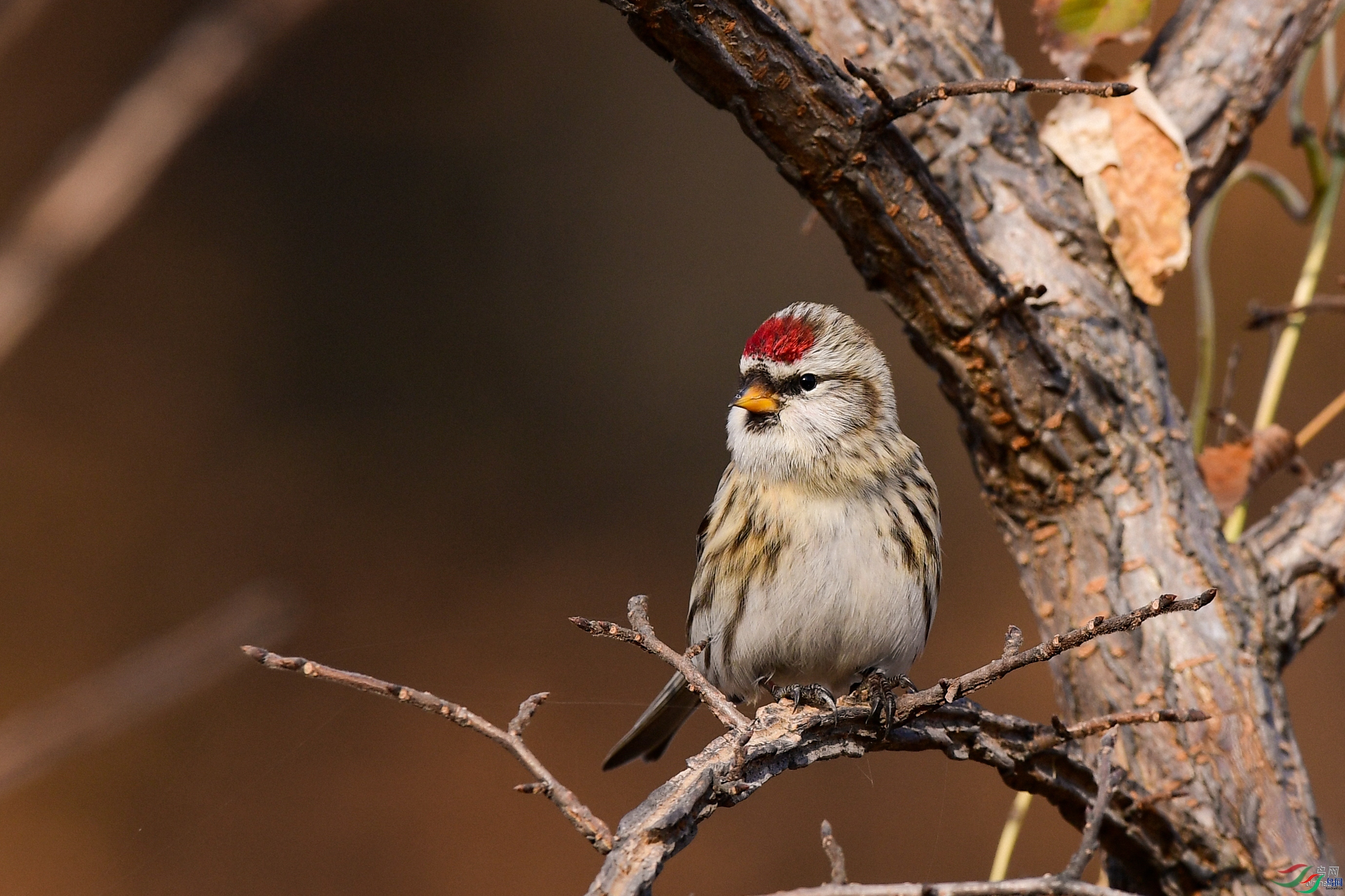 ������  ��ʦ�����ں�����ʡ��̨����.jpg