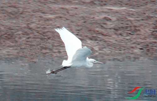 DSC00767.JPG