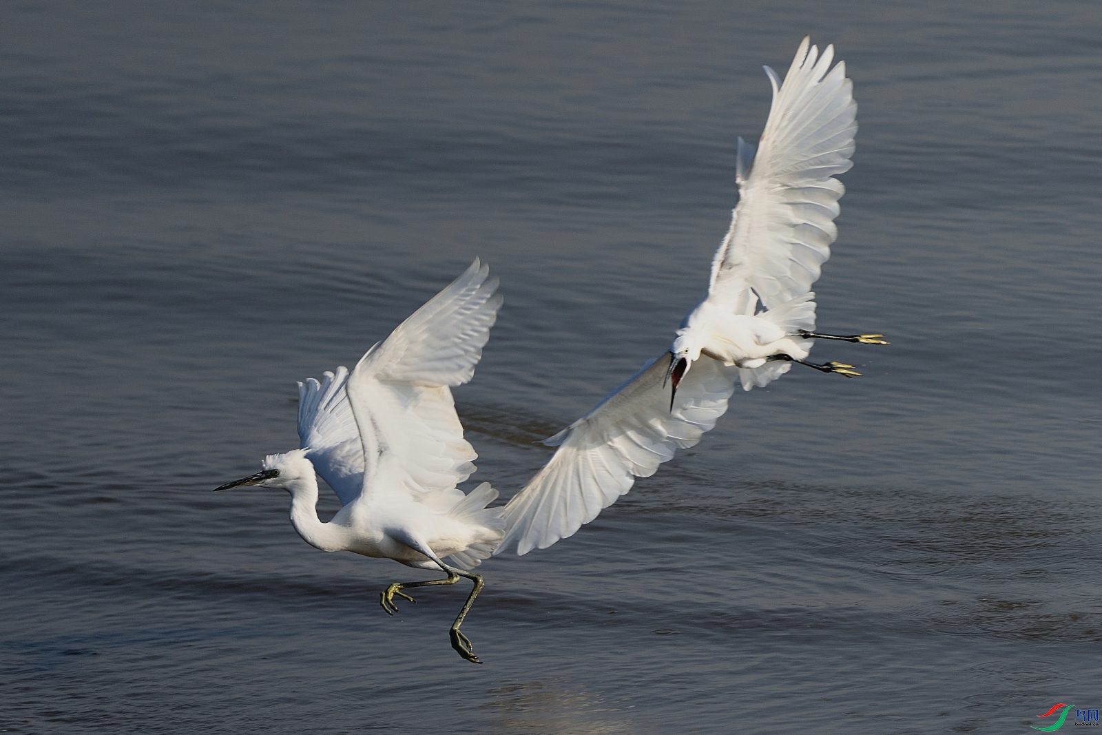 DSC_5215_00002.jpg