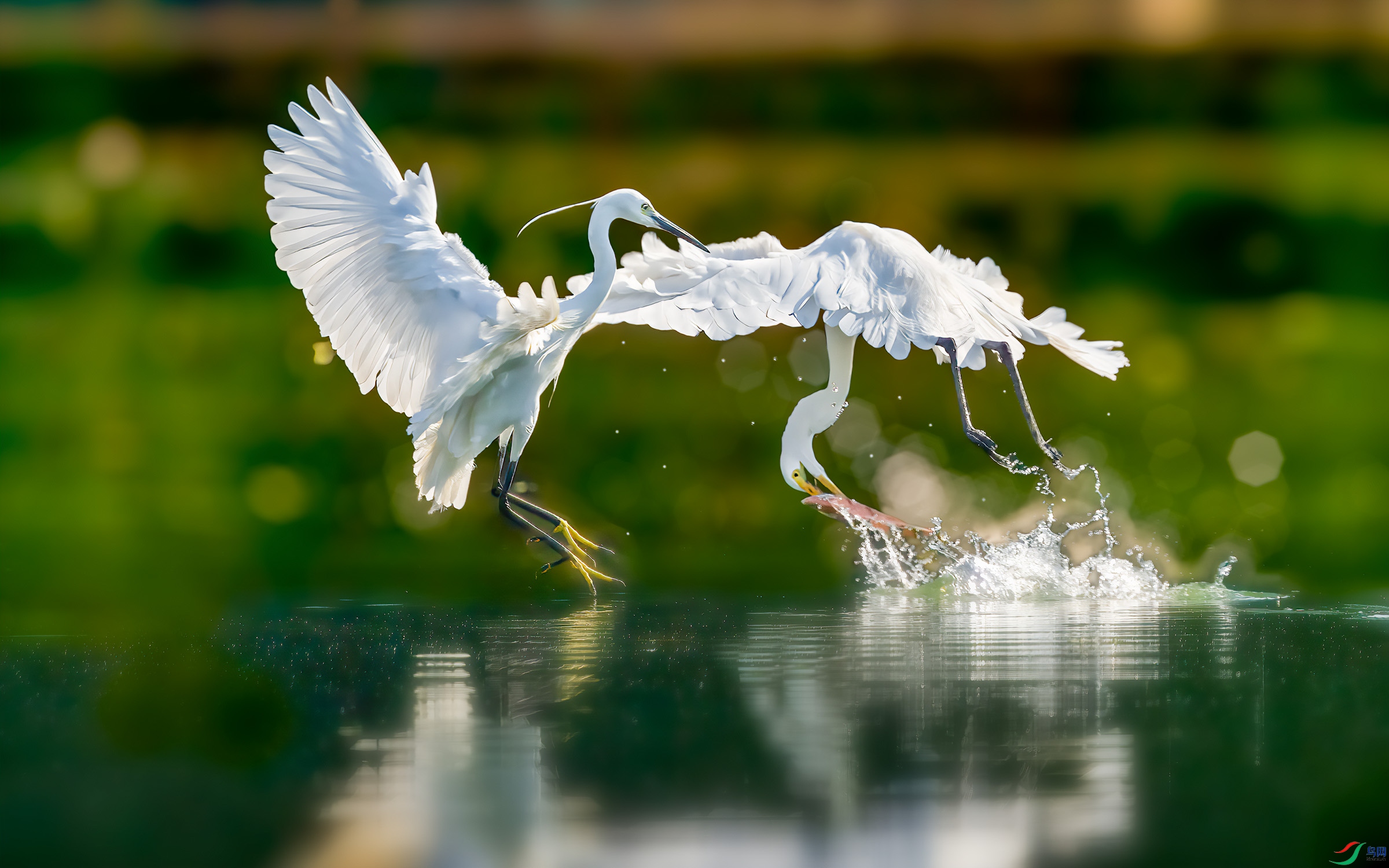 DSC_3180-B.jpg