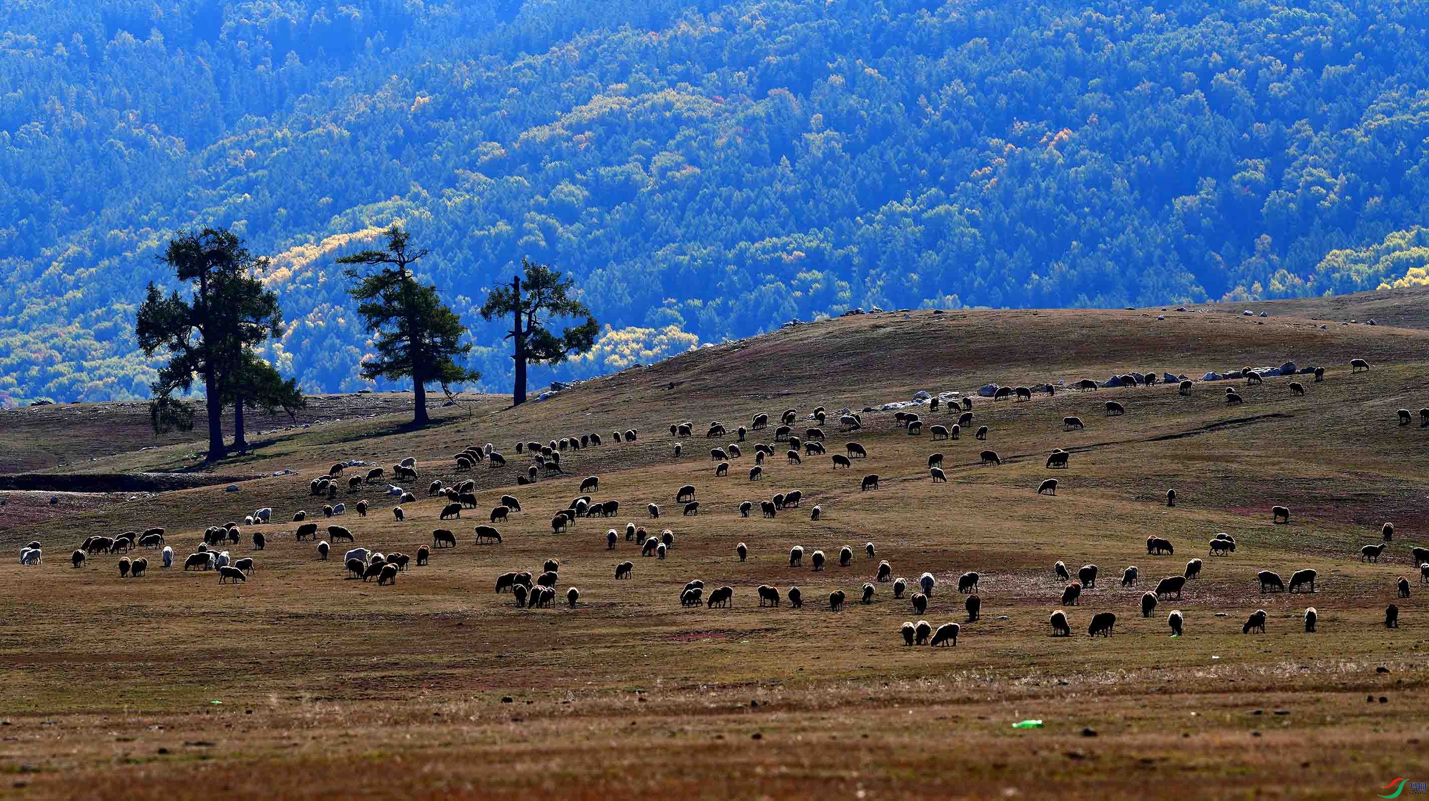 ������������