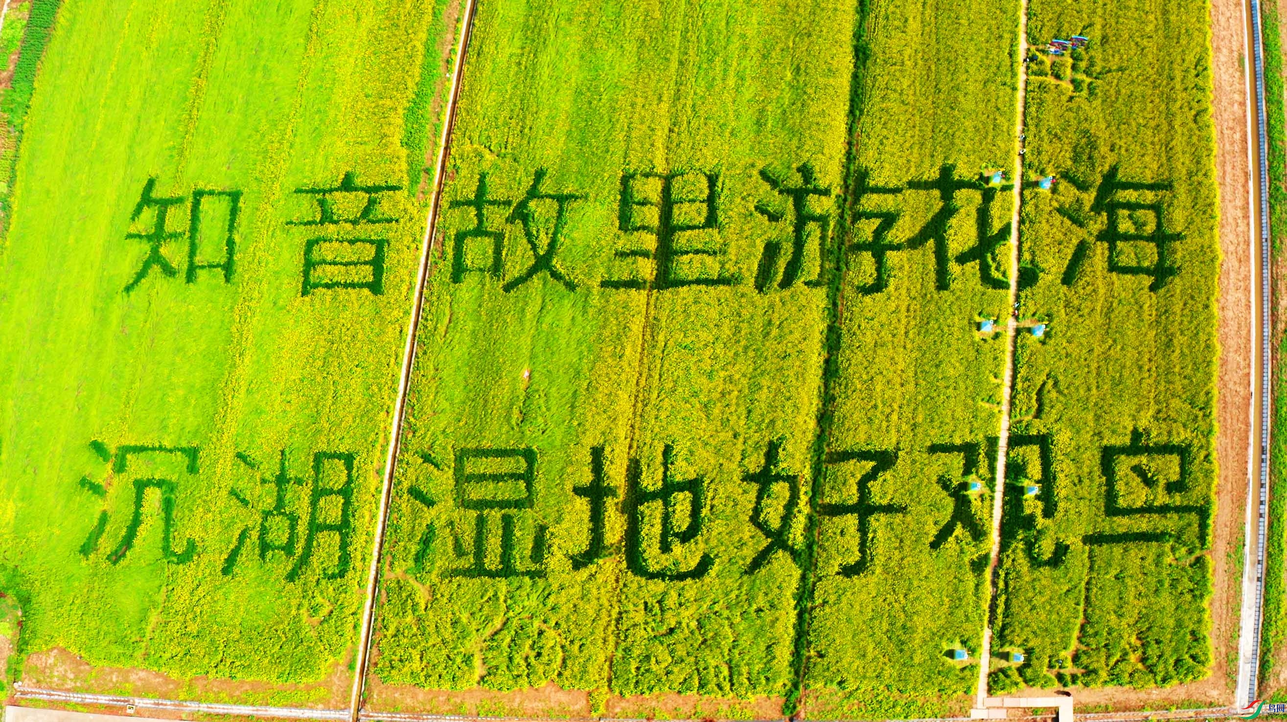 DJI_0417-��.jpg