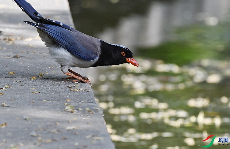 DSC_0779.JPG