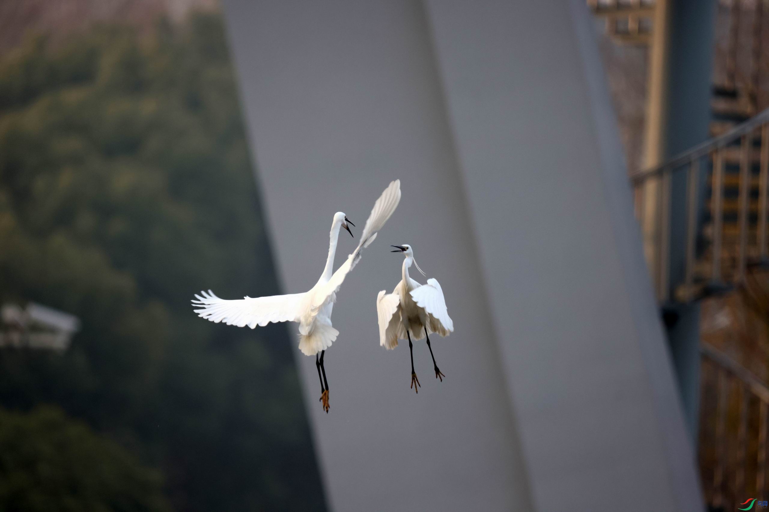 ������С �����ع� 0E5A9104.JPG