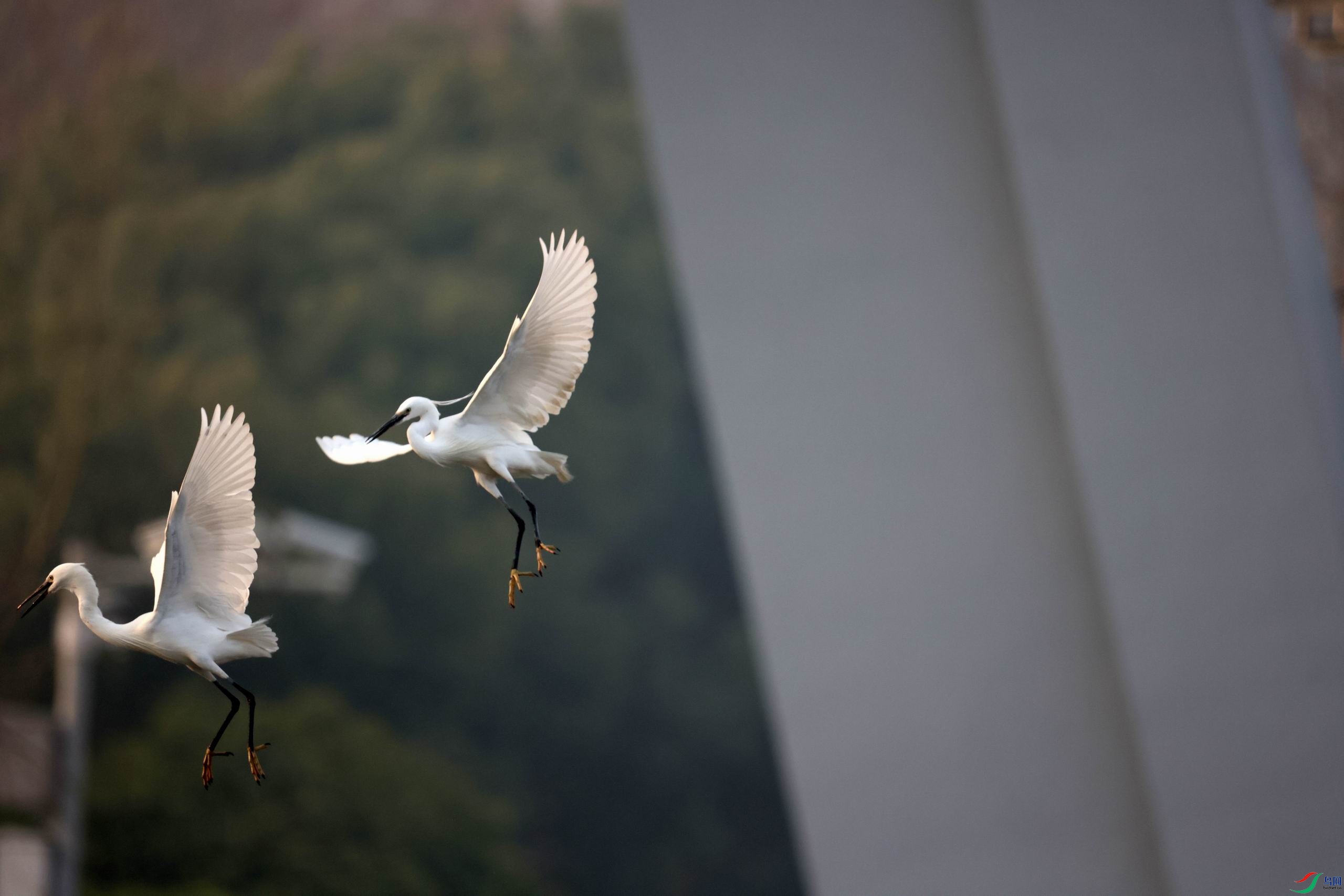 ������С �����ع� 0E5A9107.JPG