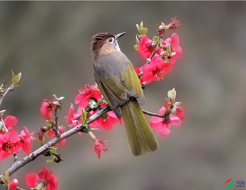 IMG_0223.jpg