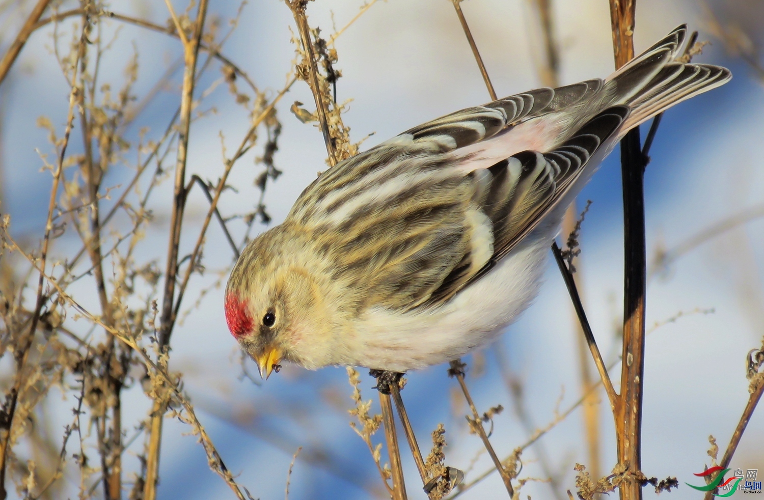 �۸��� ���ɹ����������ױ����и�����.jpg