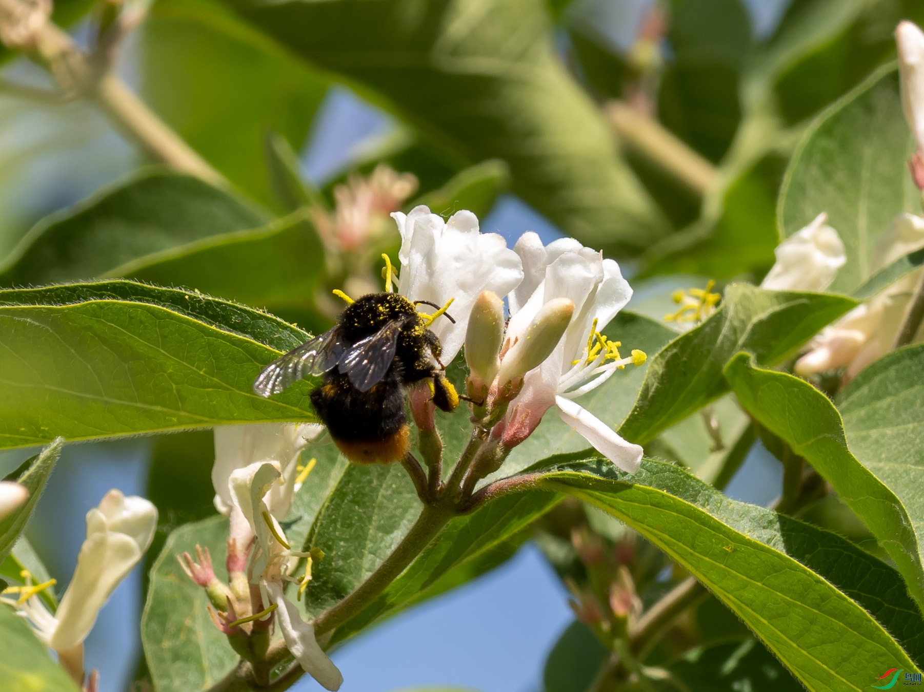 �ڷ����̶�