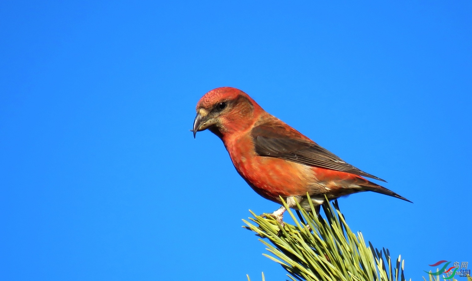 �۸���  ��ʦ���������ɹ����������ױ����и�����.jpg