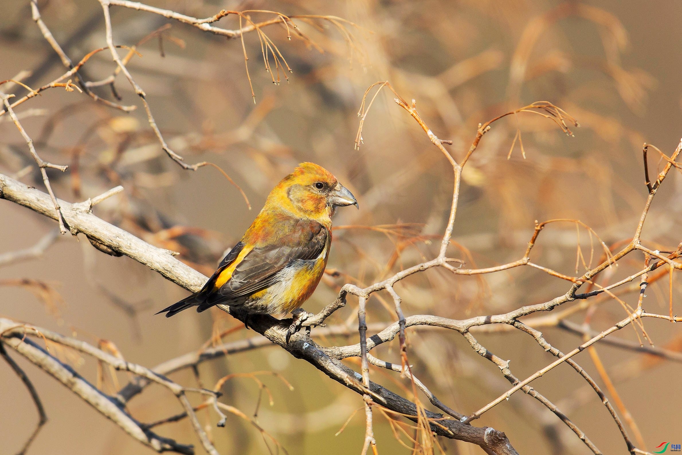 ·��  ��ʦ�����ڱ����к�����.jpg