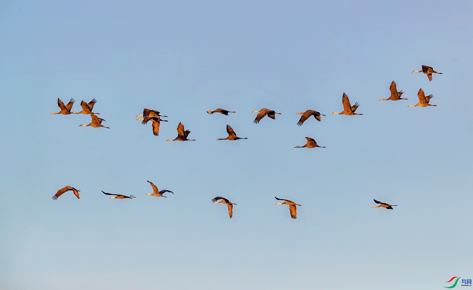 AC0I0538 ����.jpg