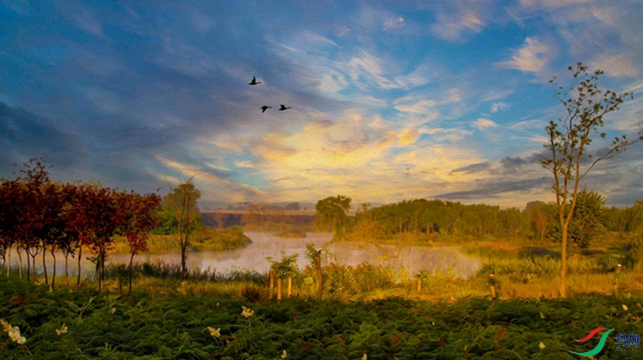 _MG_4074 ����.jpg