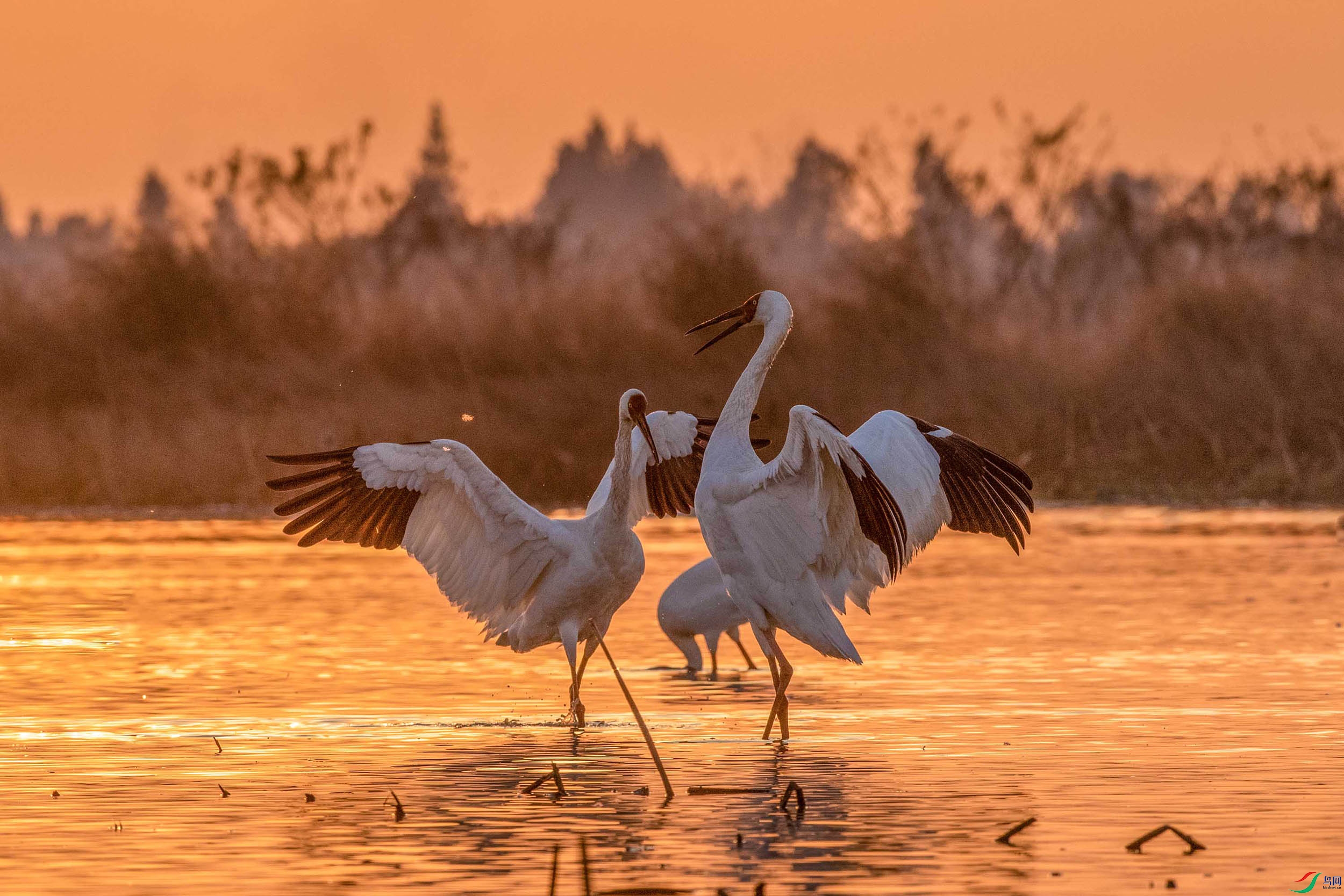 3T5A5401-1111 ����.jpg