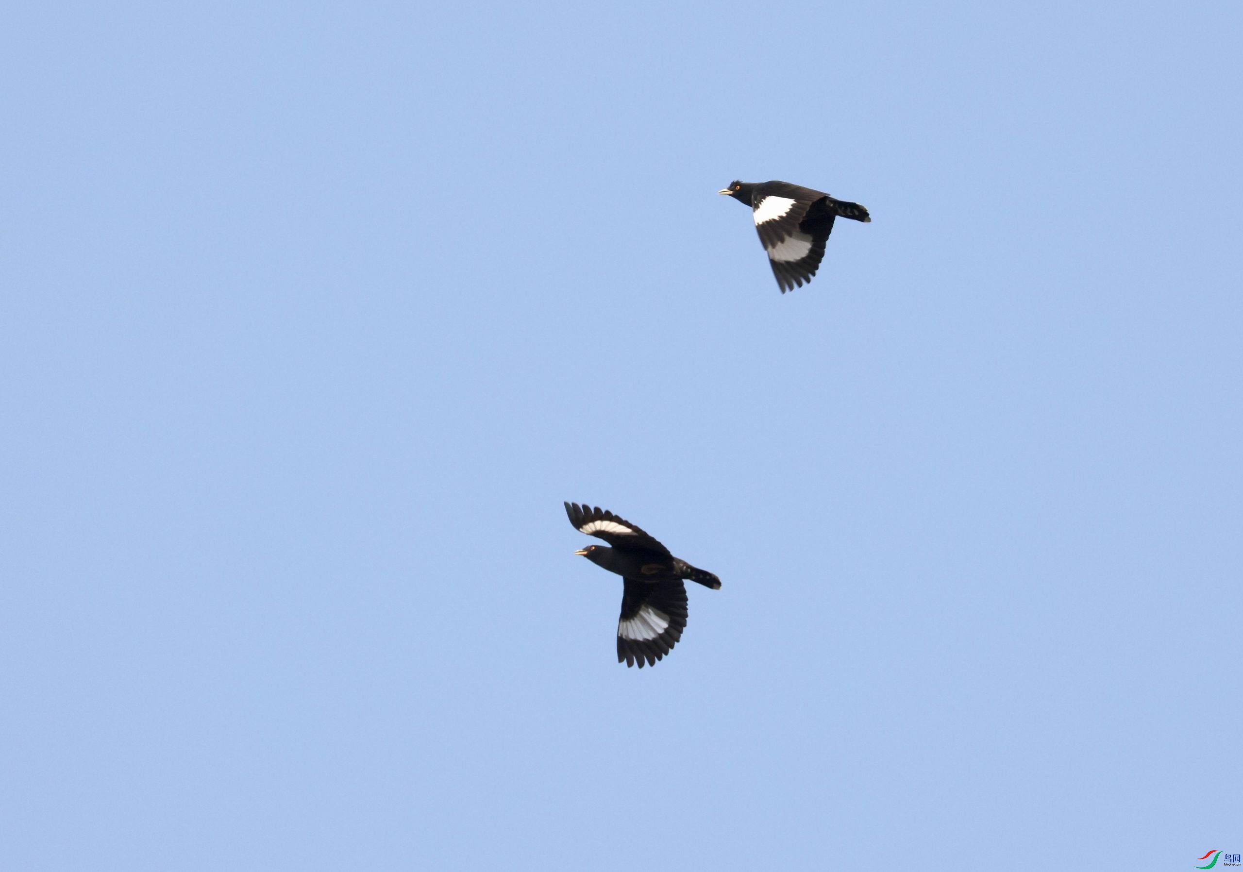 ������С �����ع� 0E5A1344.JPG